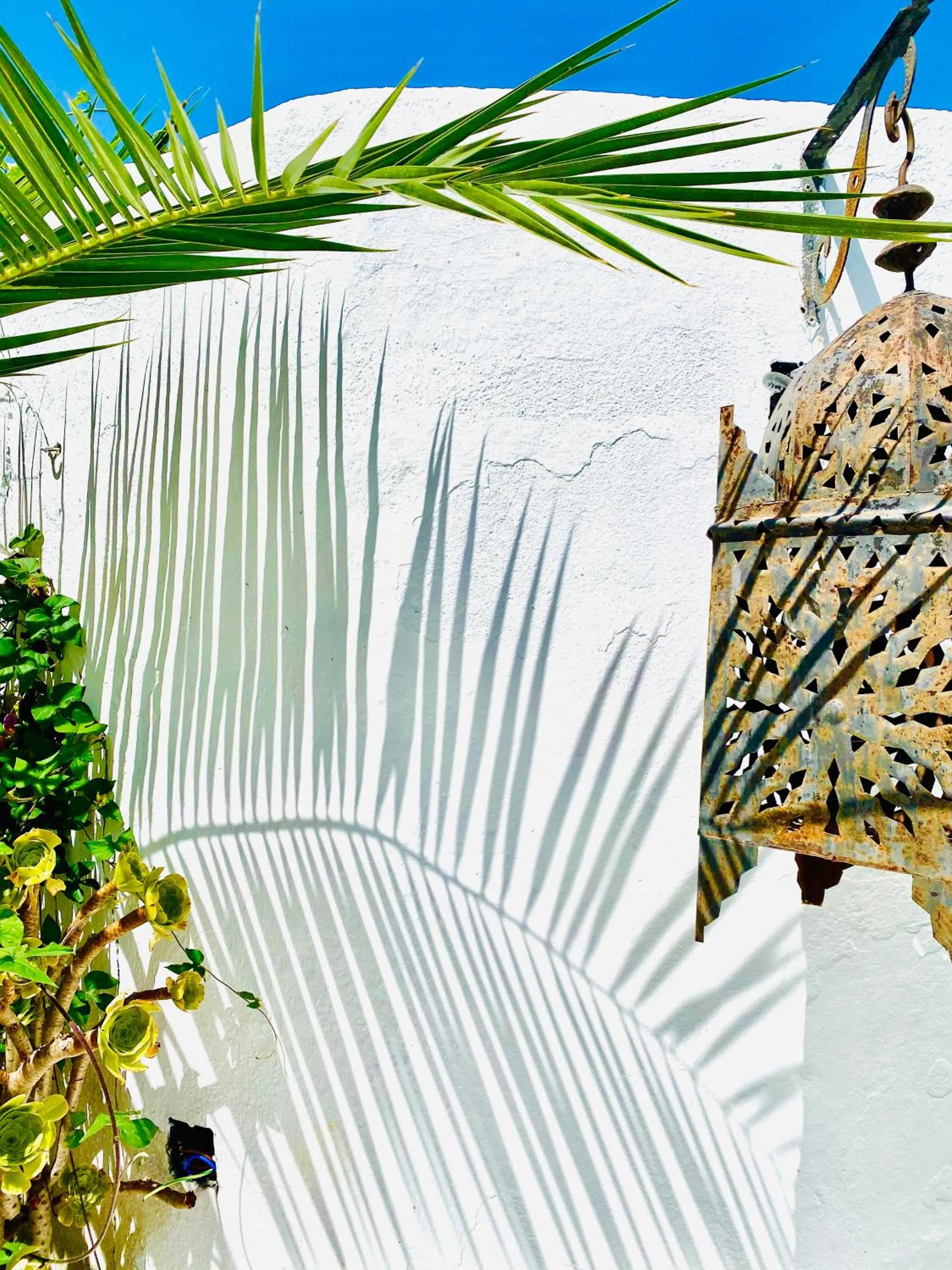 Decorative detail in Finca Mil Estrellas