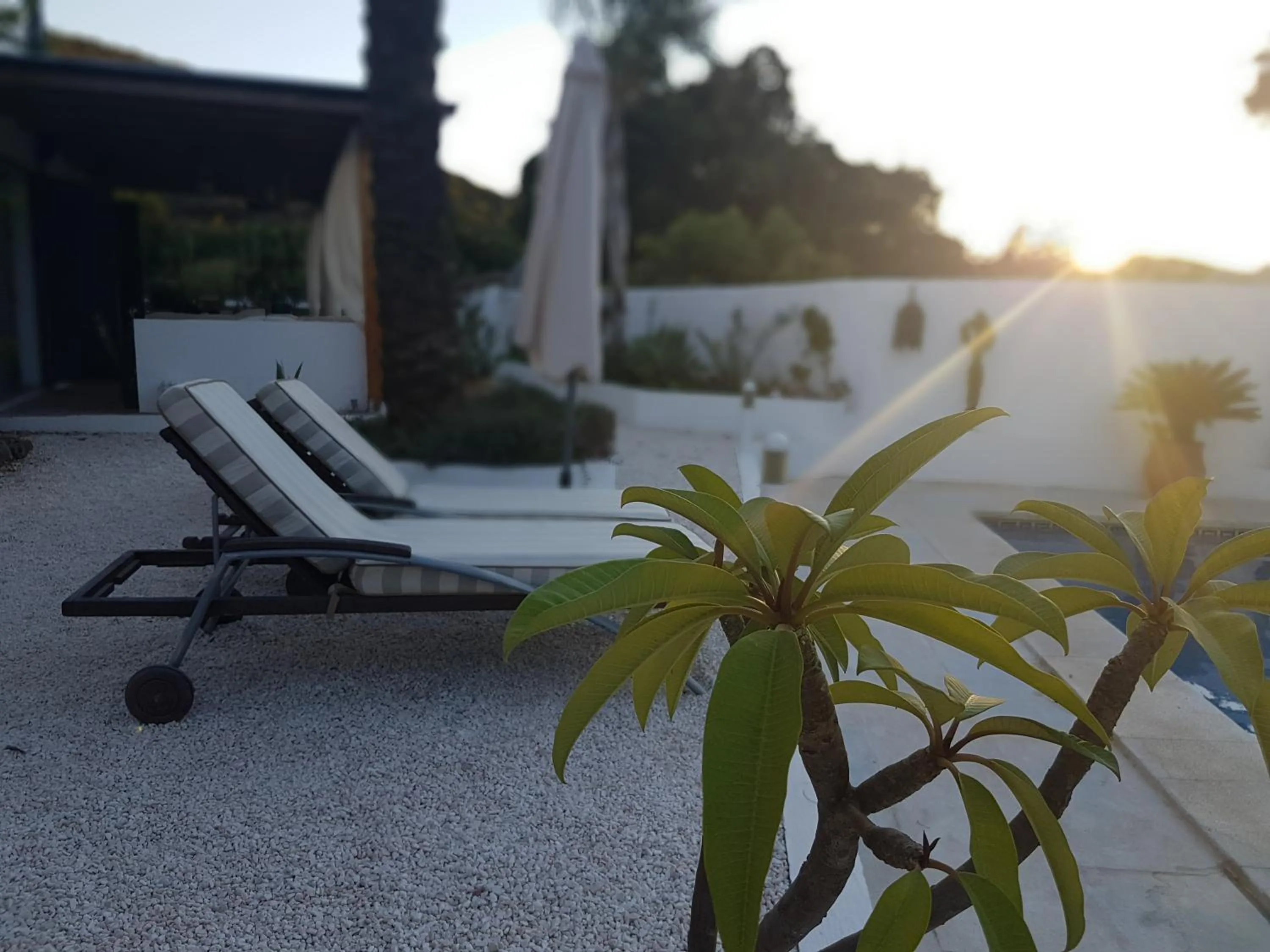 Balcony/Terrace in Finca Mil Estrellas
