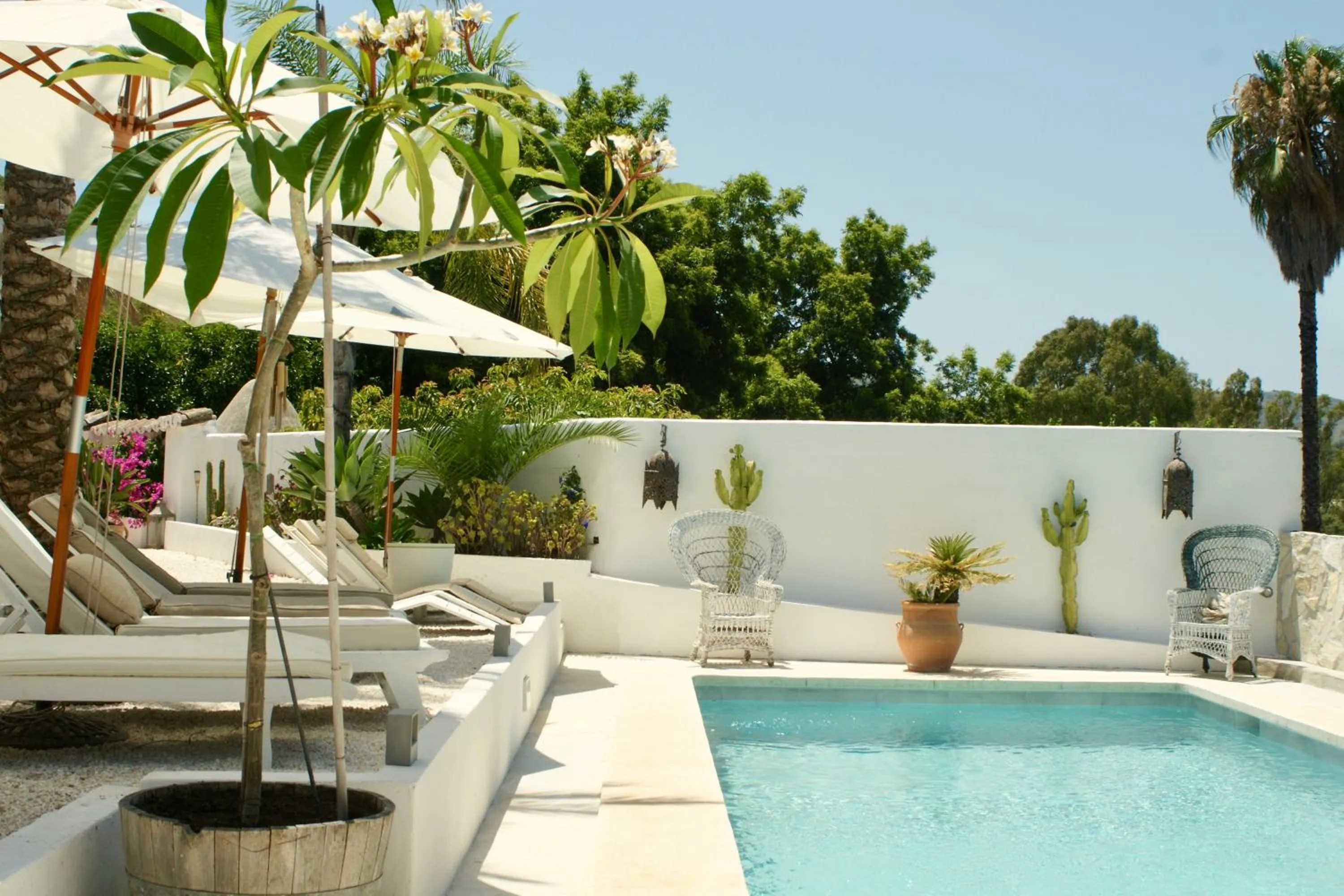 Spring in Finca Mil Estrellas