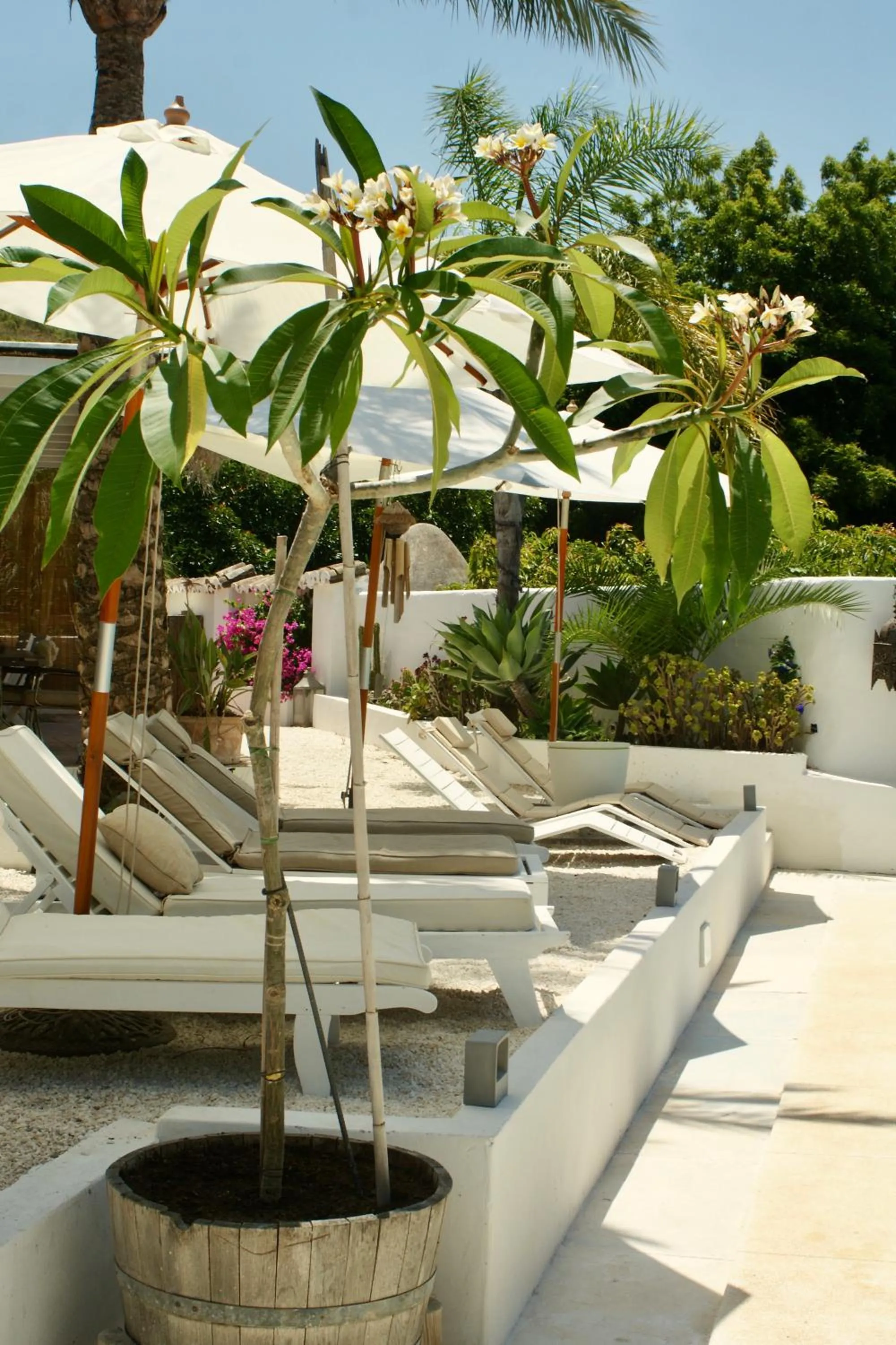 Spring in Finca Mil Estrellas