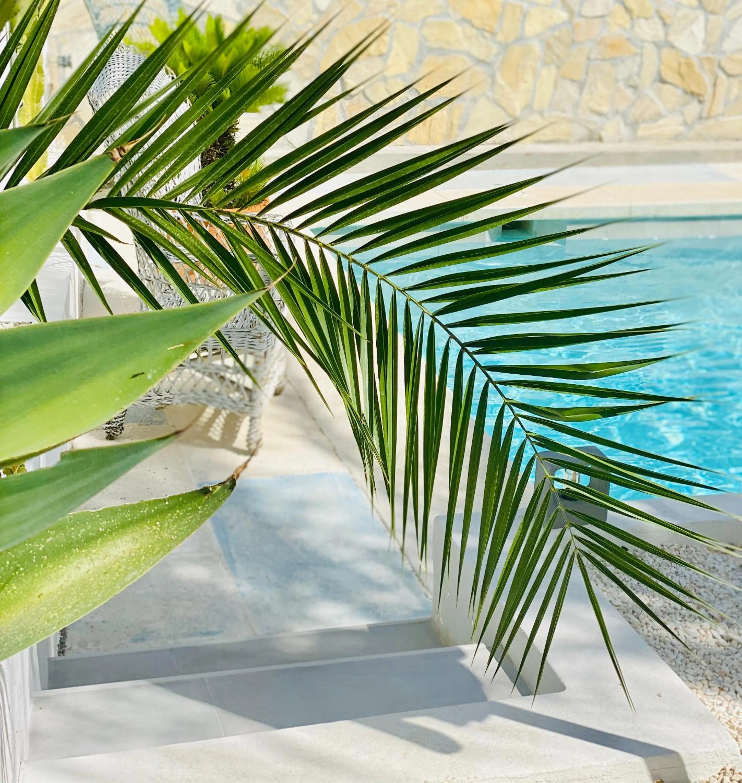 Swimming pool in Finca Mil Estrellas