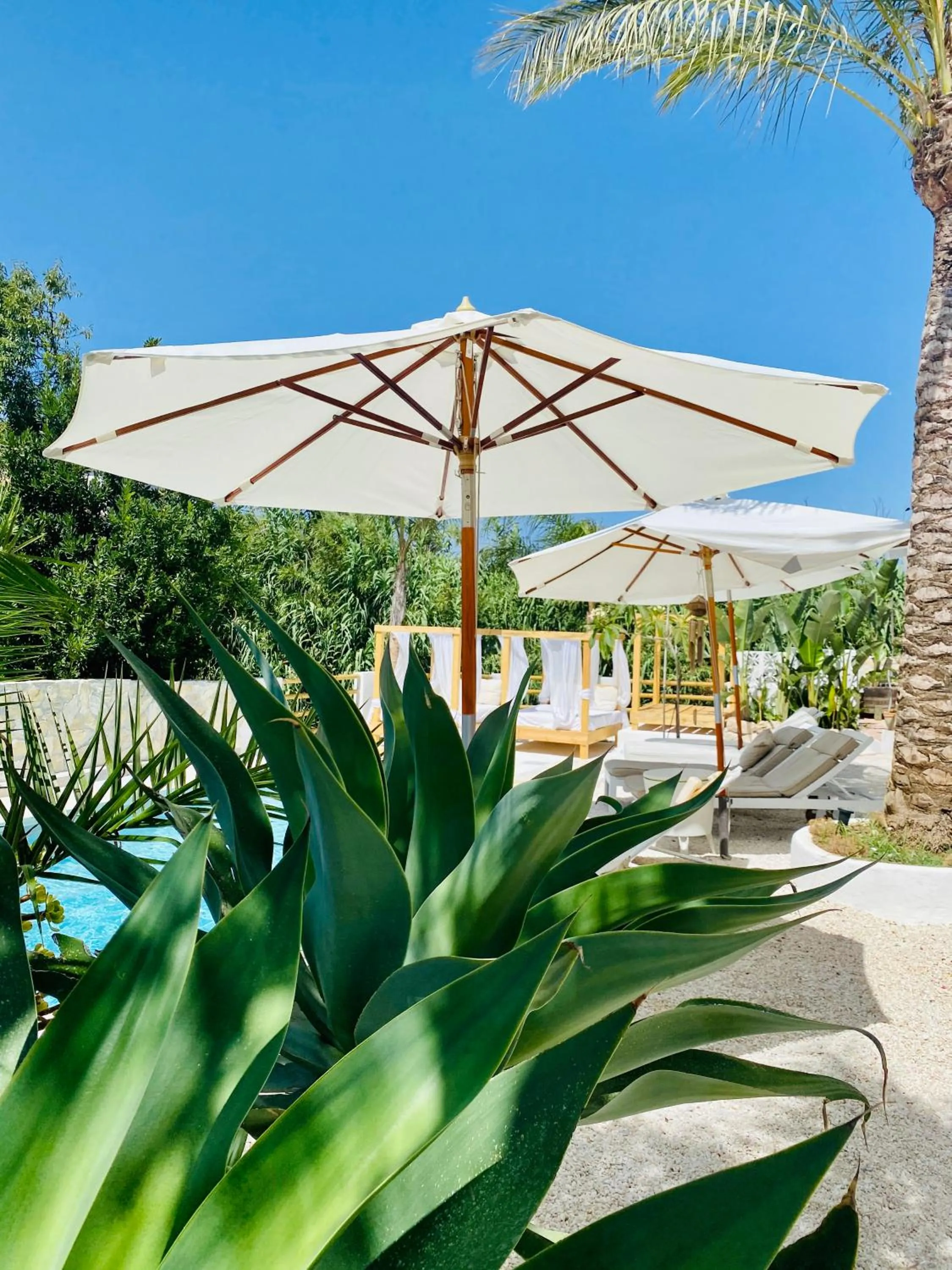 Swimming pool in Finca Mil Estrellas