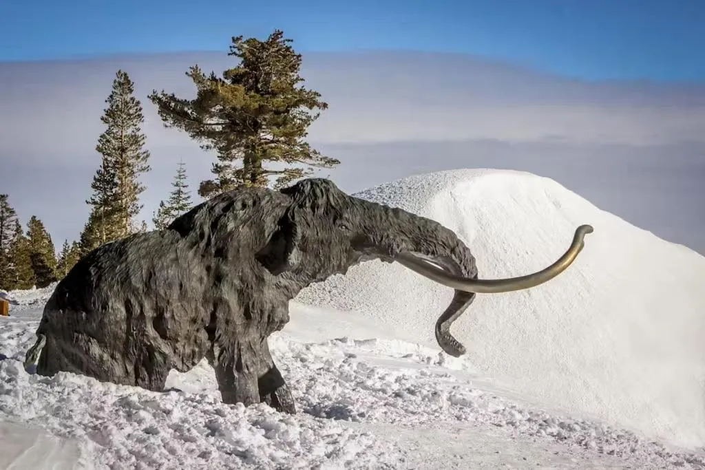 Mammoth Ski & Racquet 124