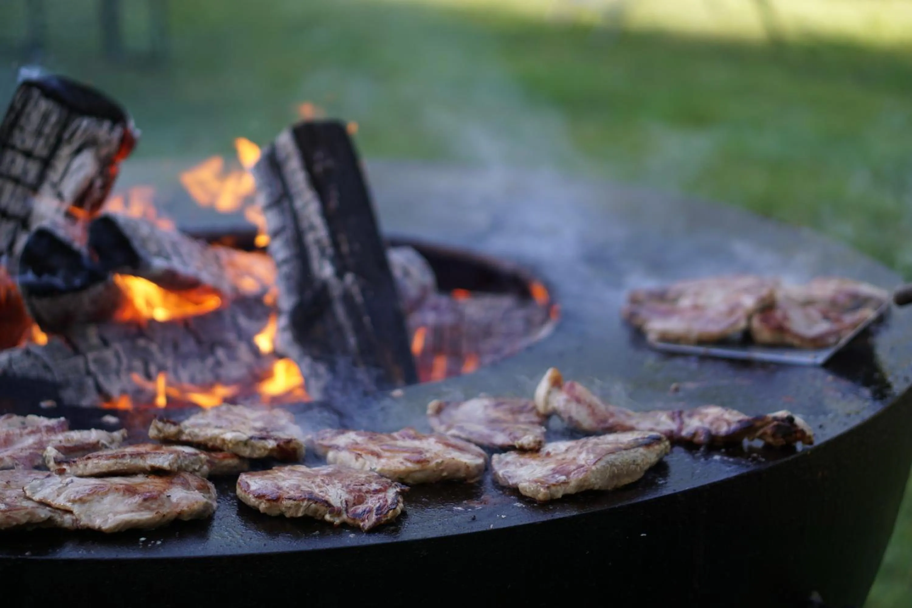 BBQ facilities in Schloss Kaarz mit Park