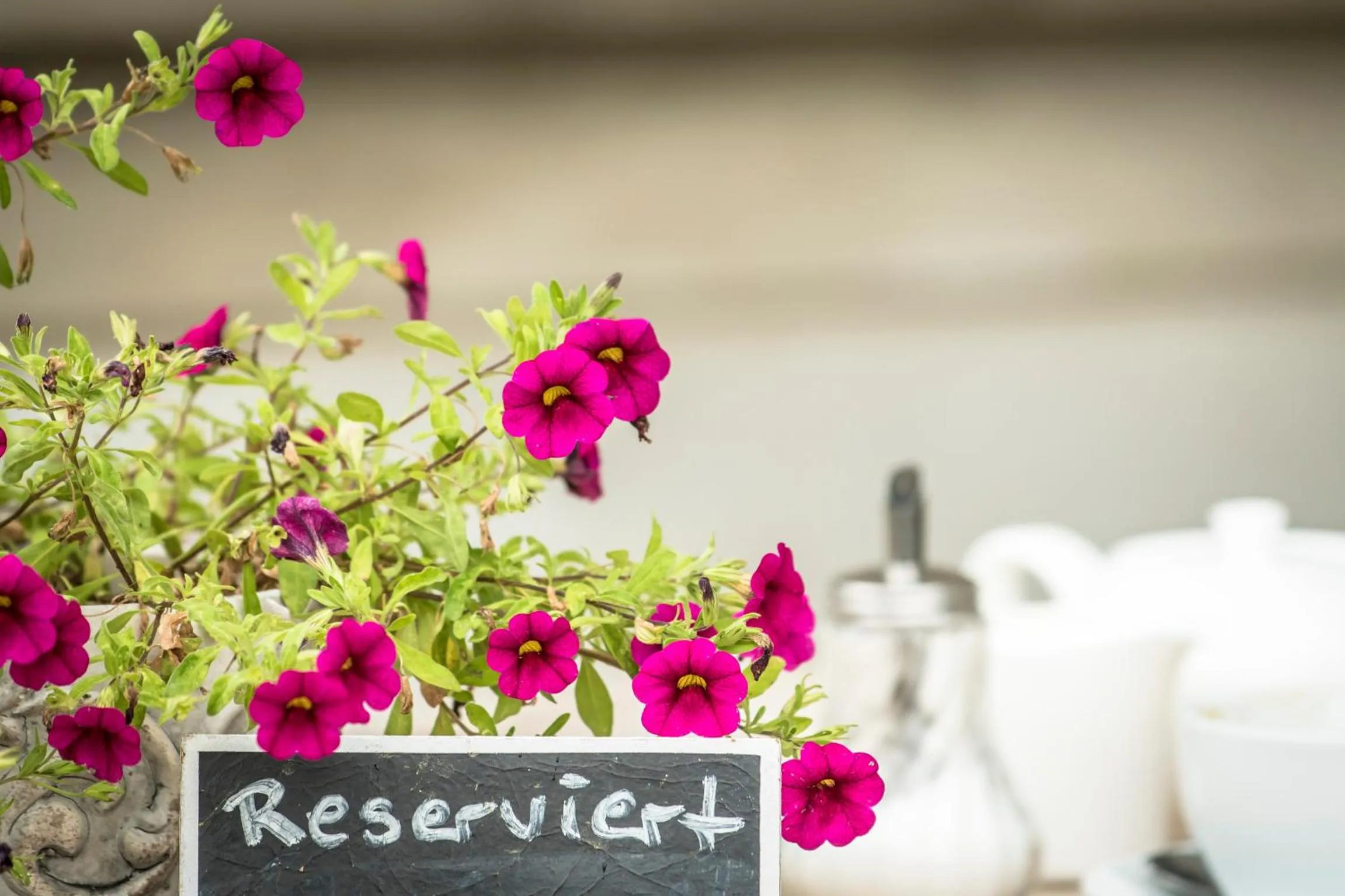 Restaurant/places to eat in Schloss Kaarz mit Park