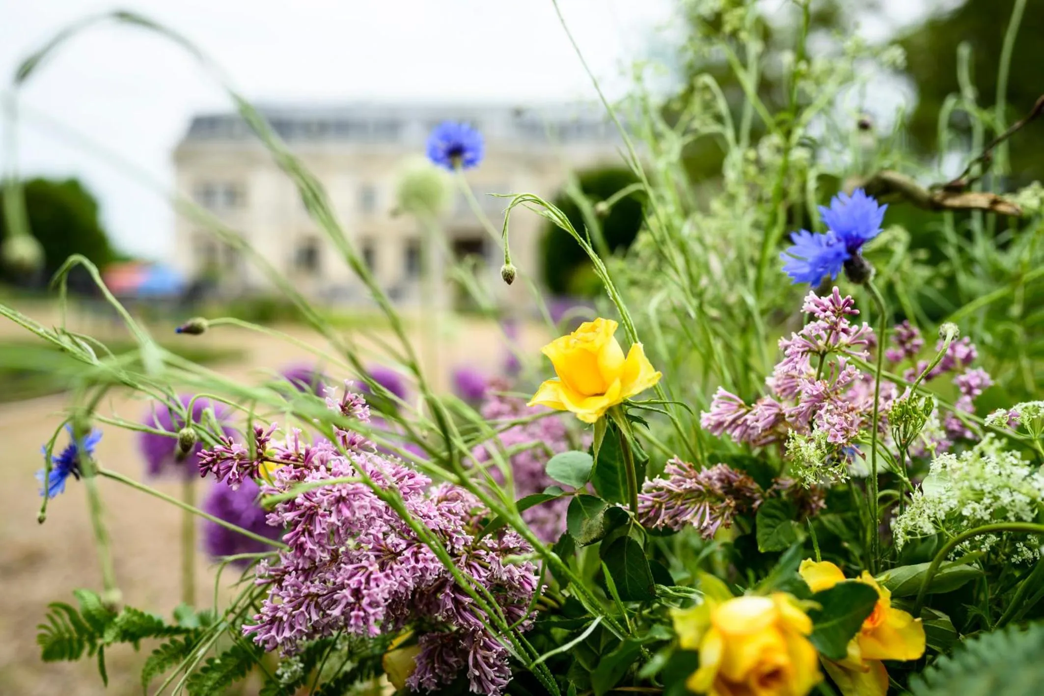 Spring in Schloss Kaarz mit Park