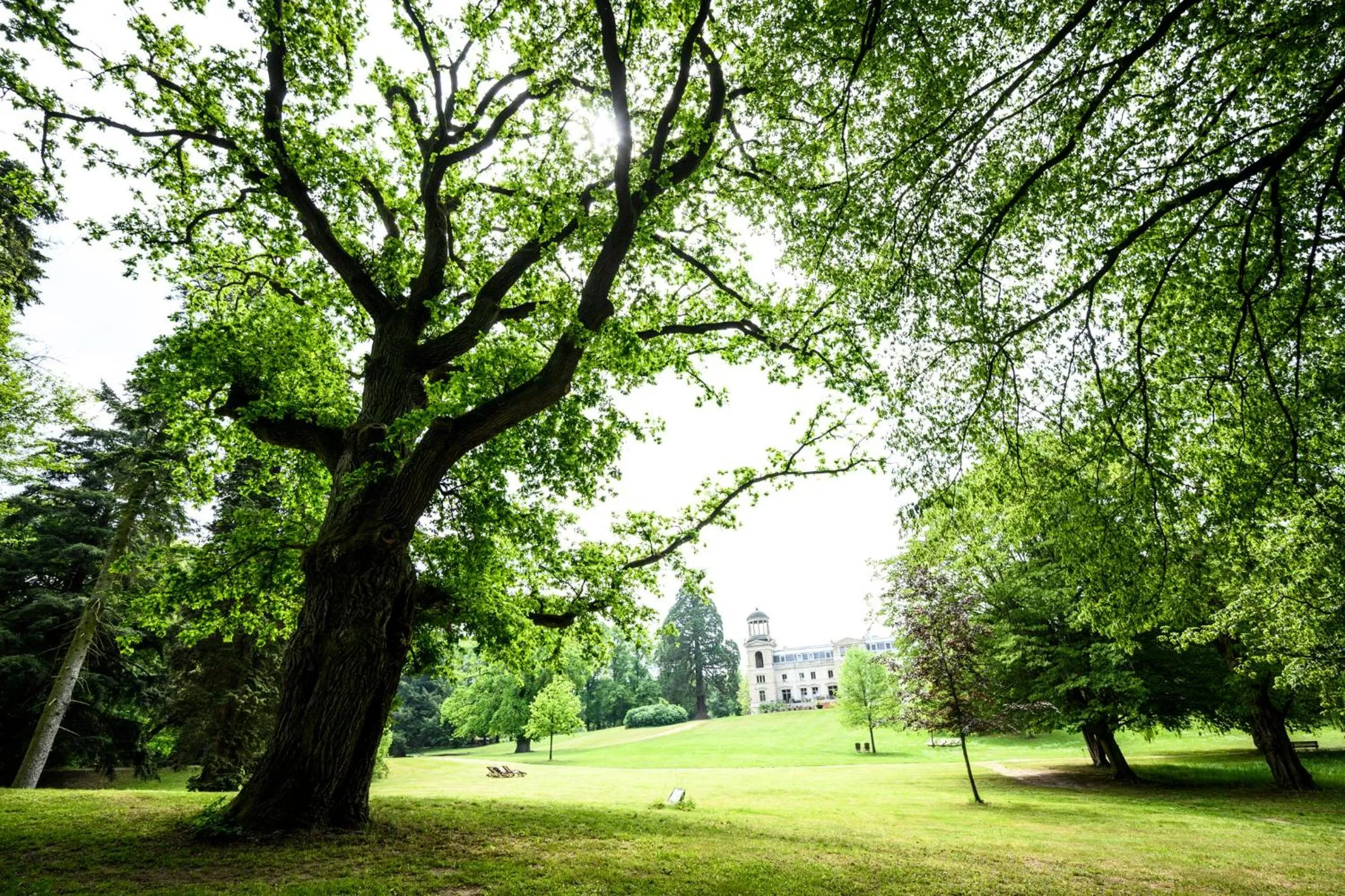 Property building in Schloss Kaarz mit Park