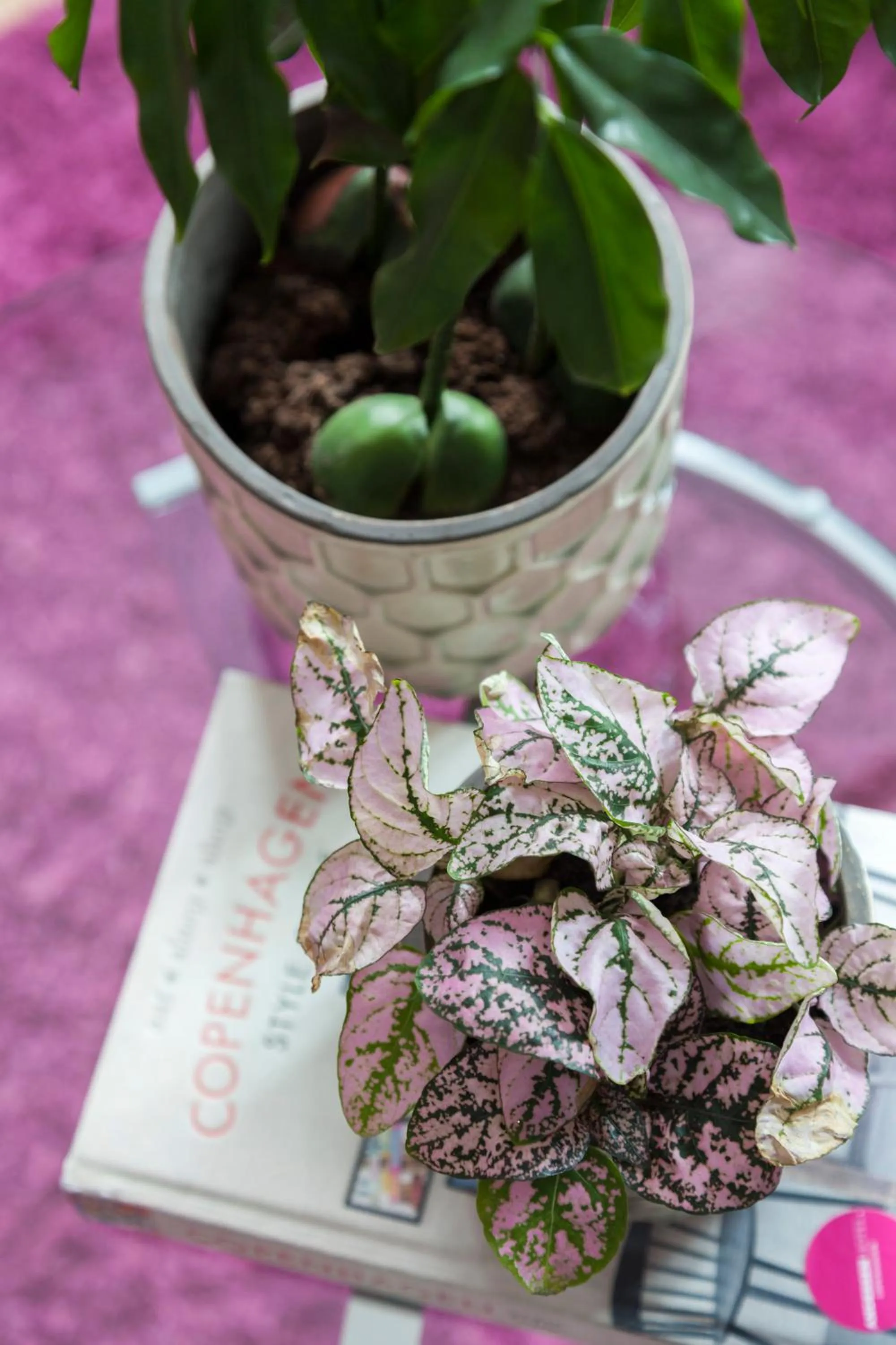 Decorative detail in Andersen Boutique Hotel