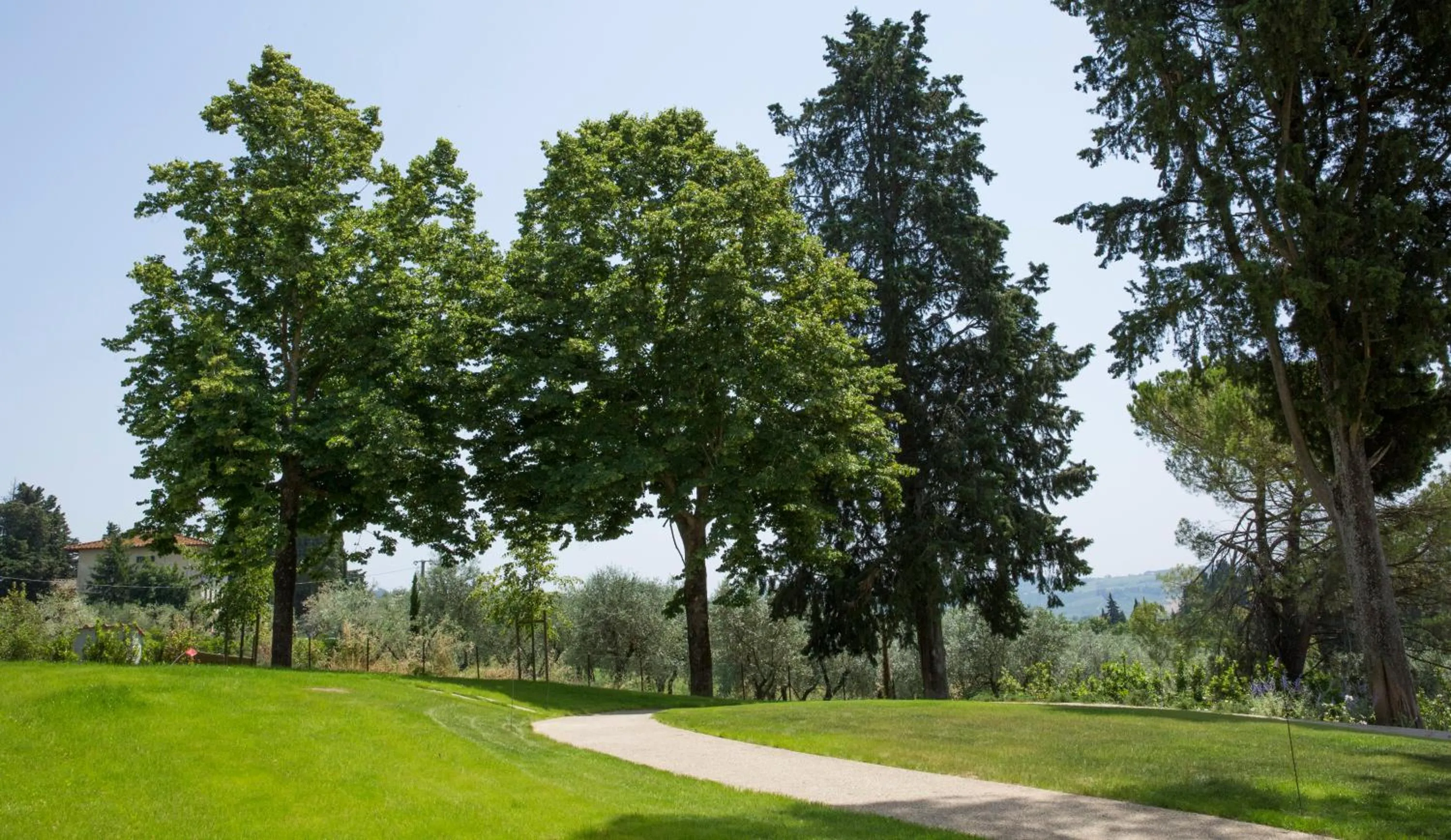 Garden in Villa Le Calvane