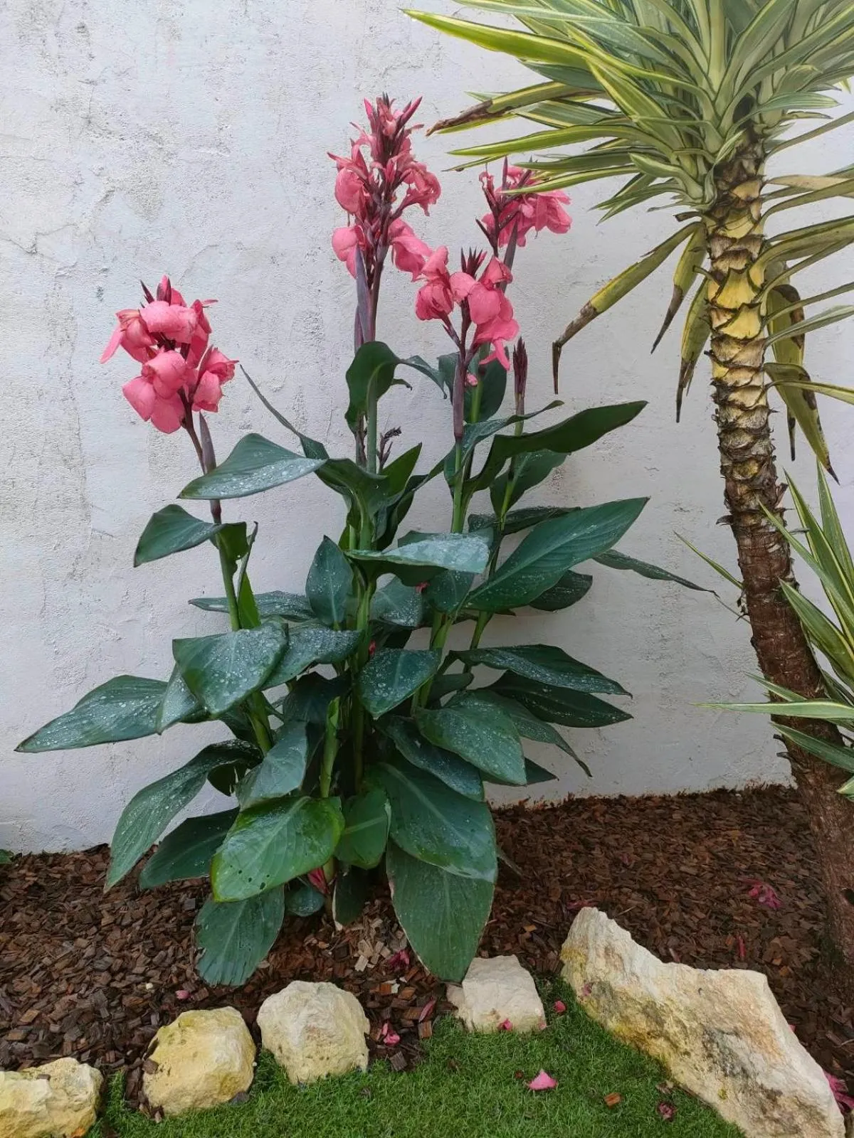 La charentaise ch d'hôtes ,Studio