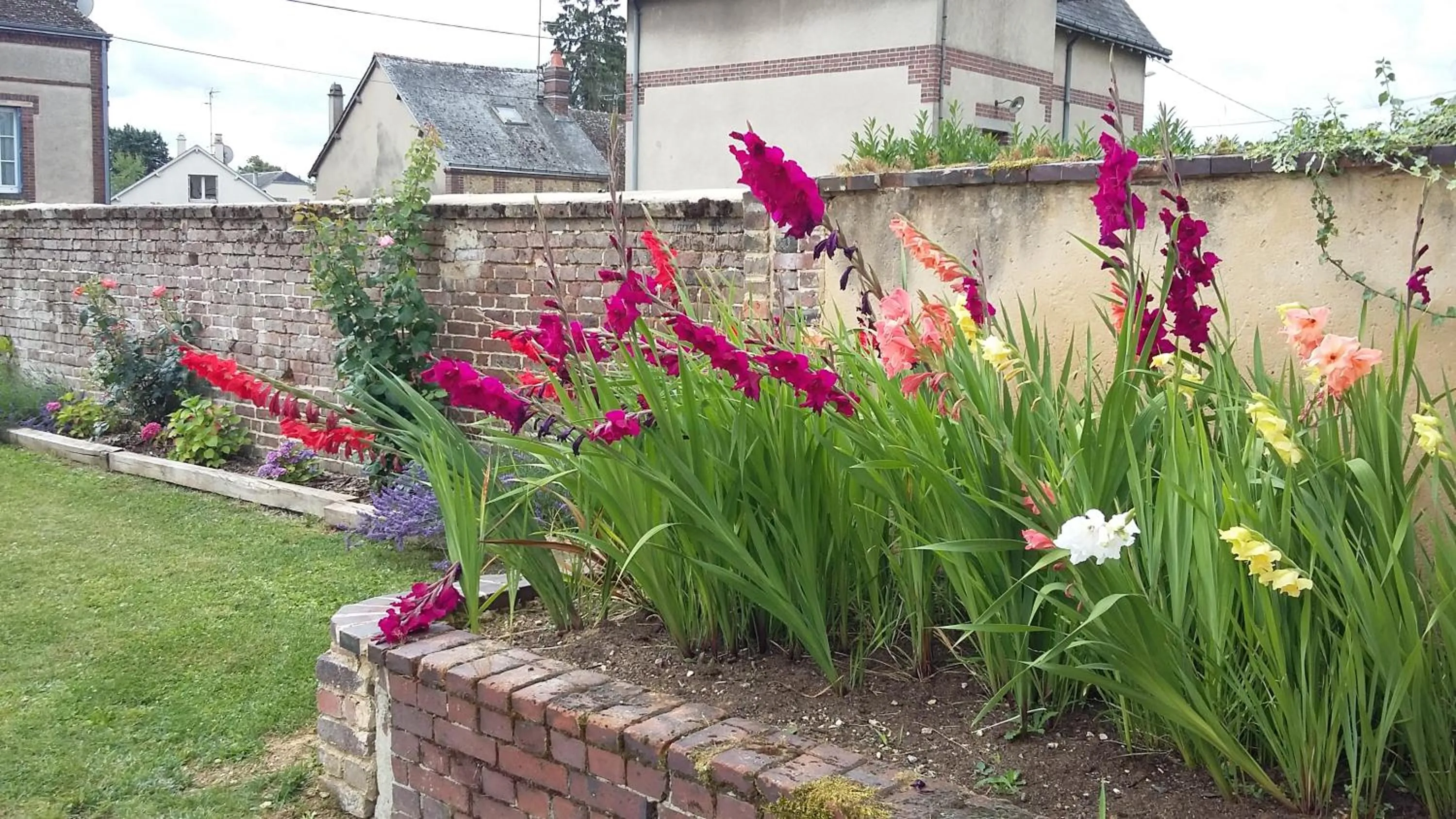 Garden view in Hotel Les Aubépines
