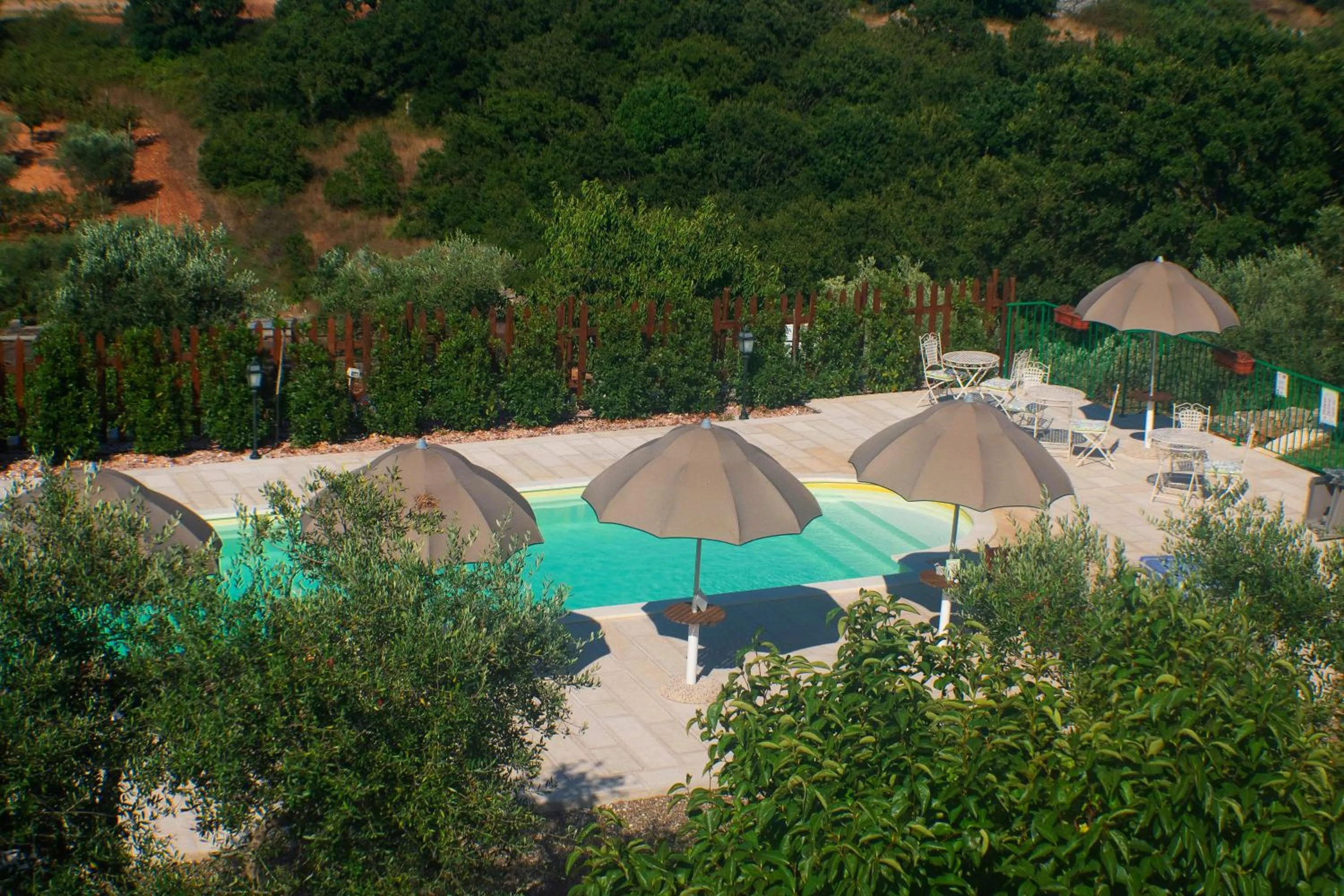 Pool view in Il Carpino