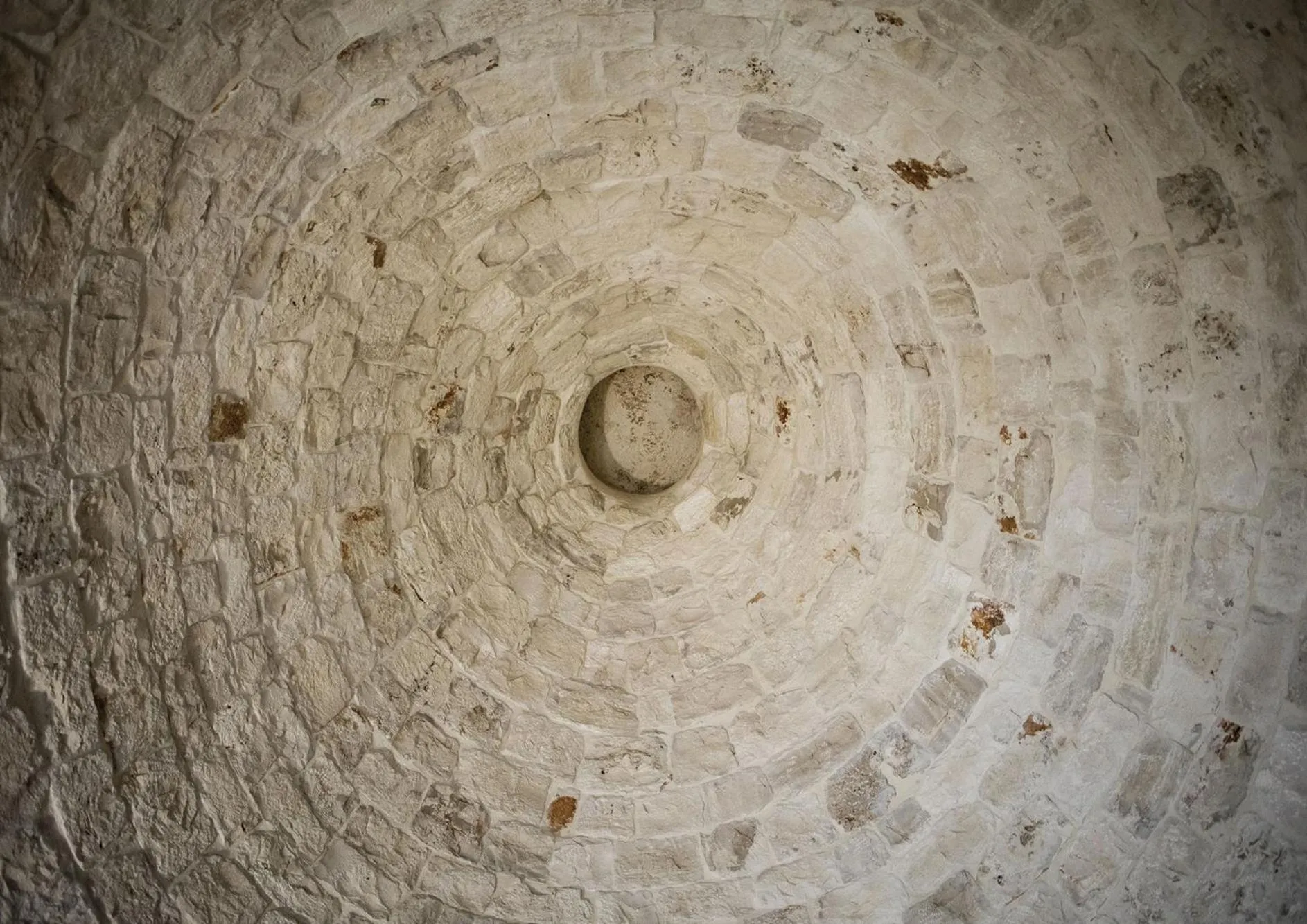 Decorative detail in Il Carpino