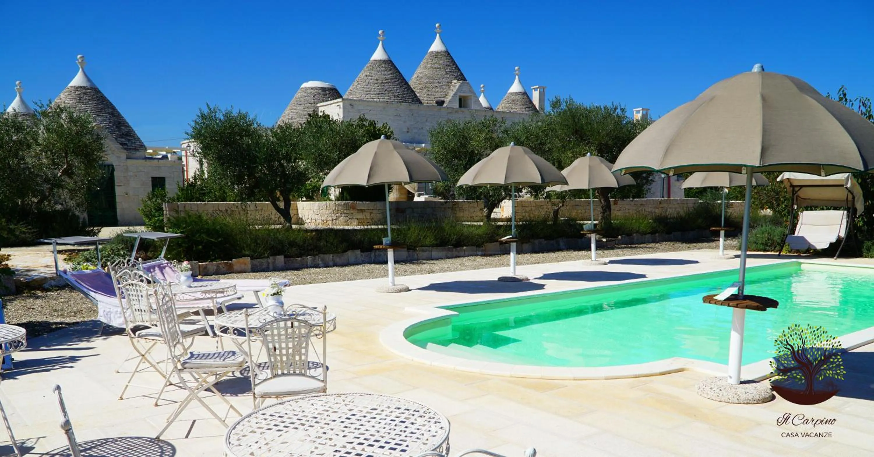 Swimming pool in Il Carpino