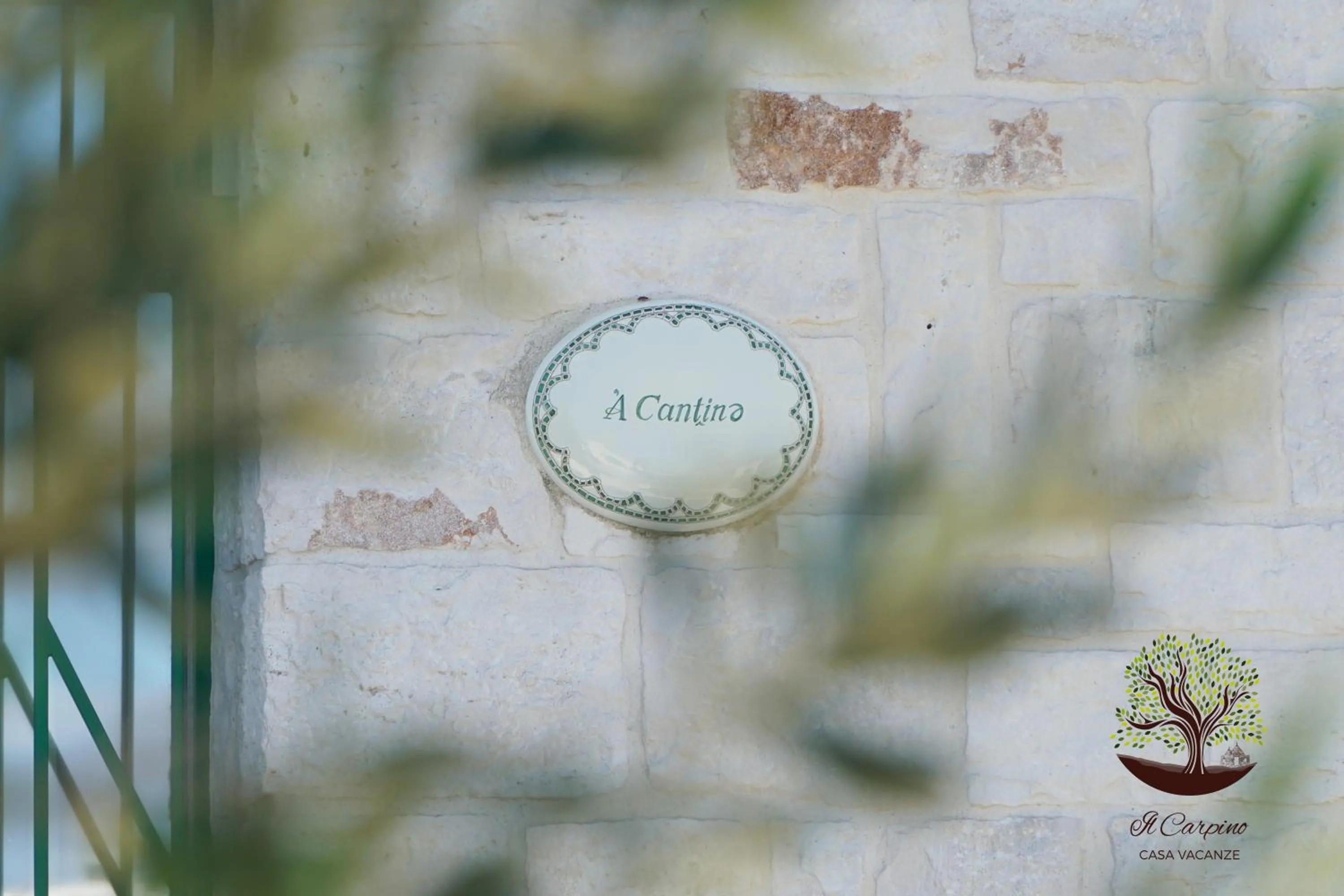 Decorative detail in Il Carpino