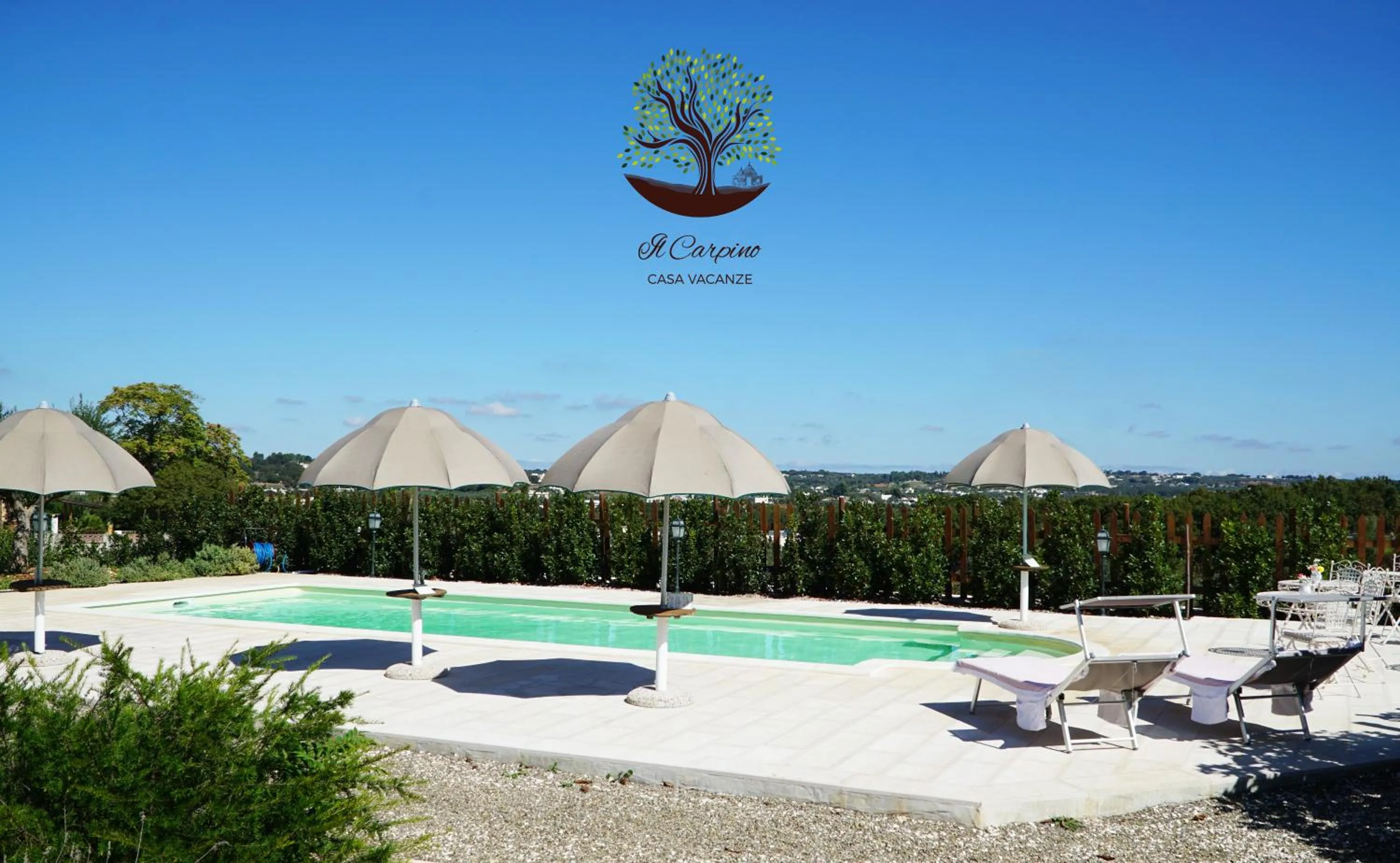 Swimming pool in Il Carpino