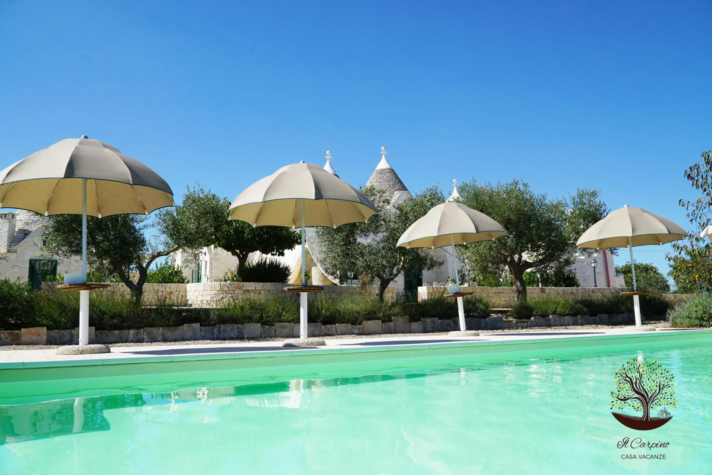 Pool view in Il Carpino