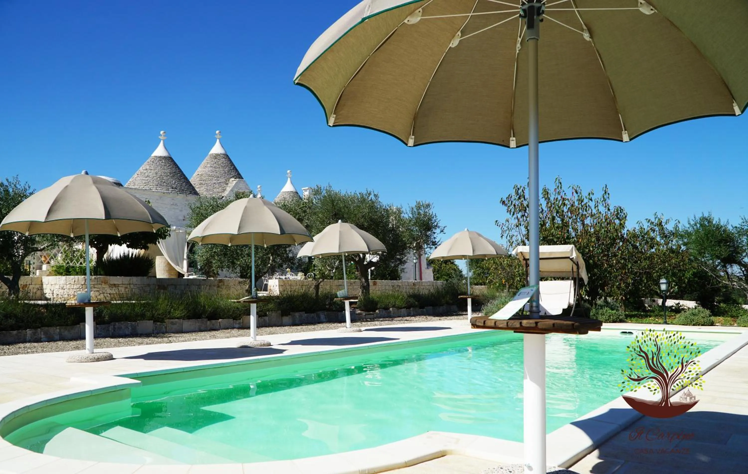 Pool view in Il Carpino