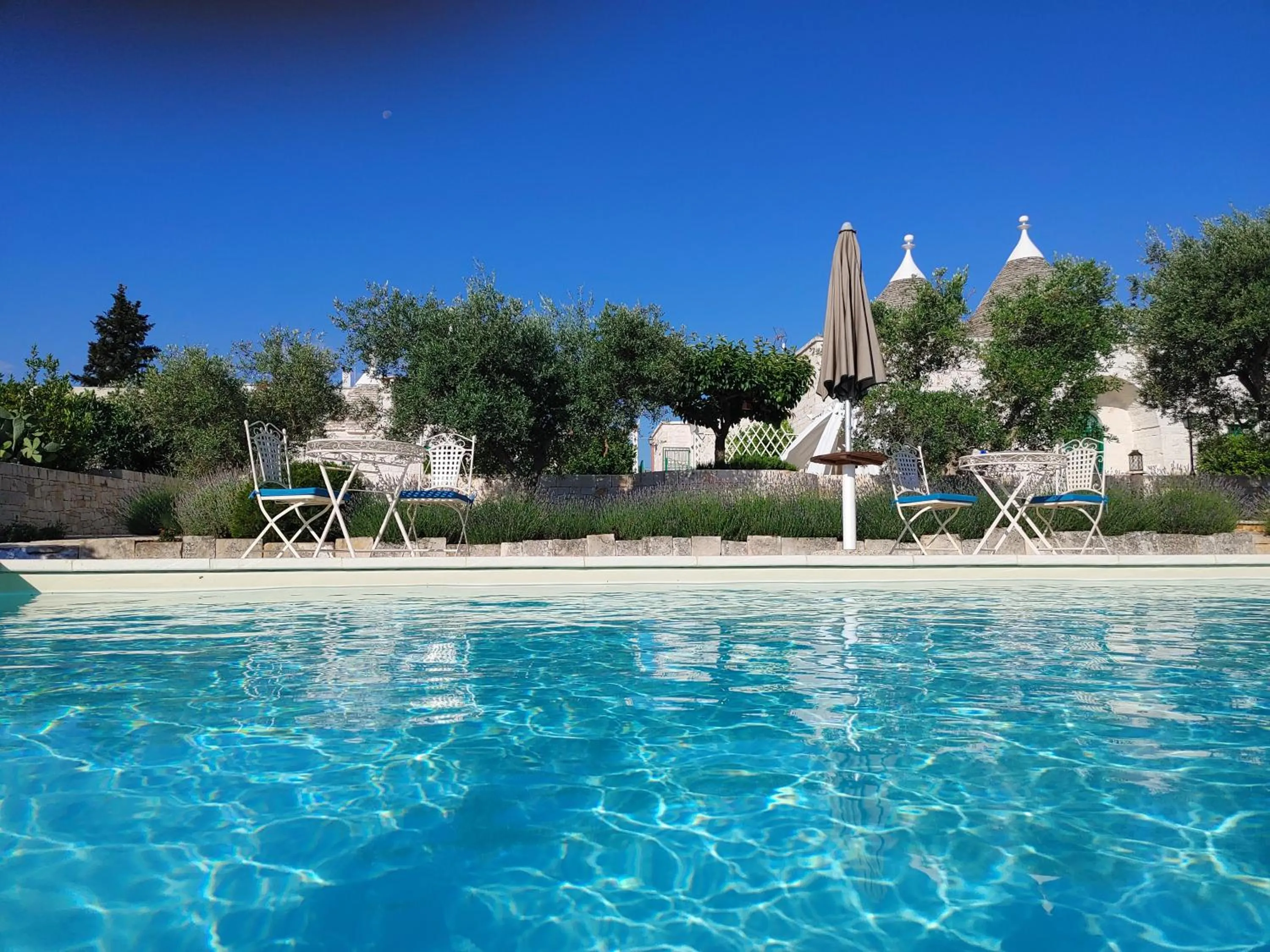Pool view in Il Carpino