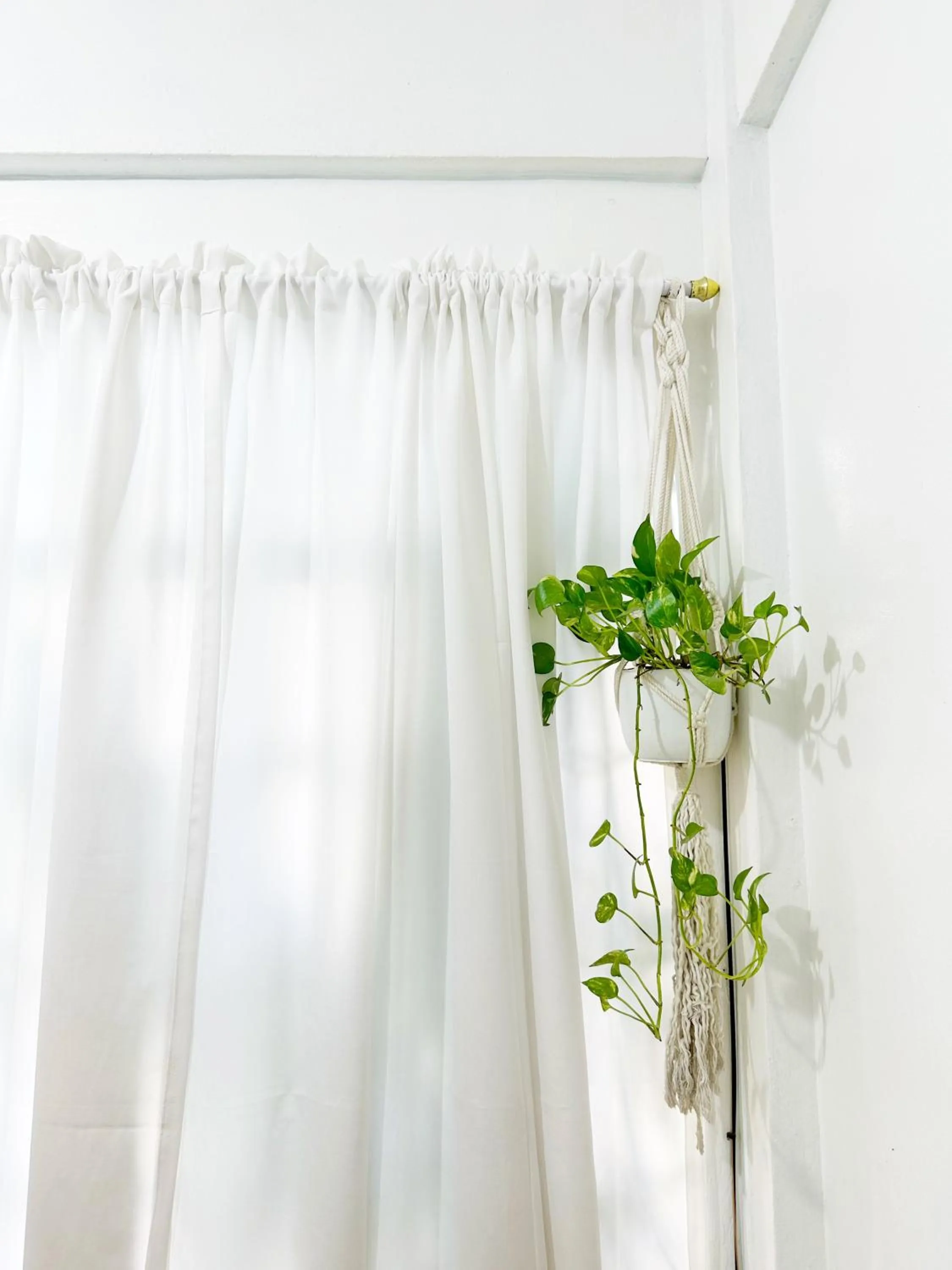 Backpackers Homestay - NomadsMNL