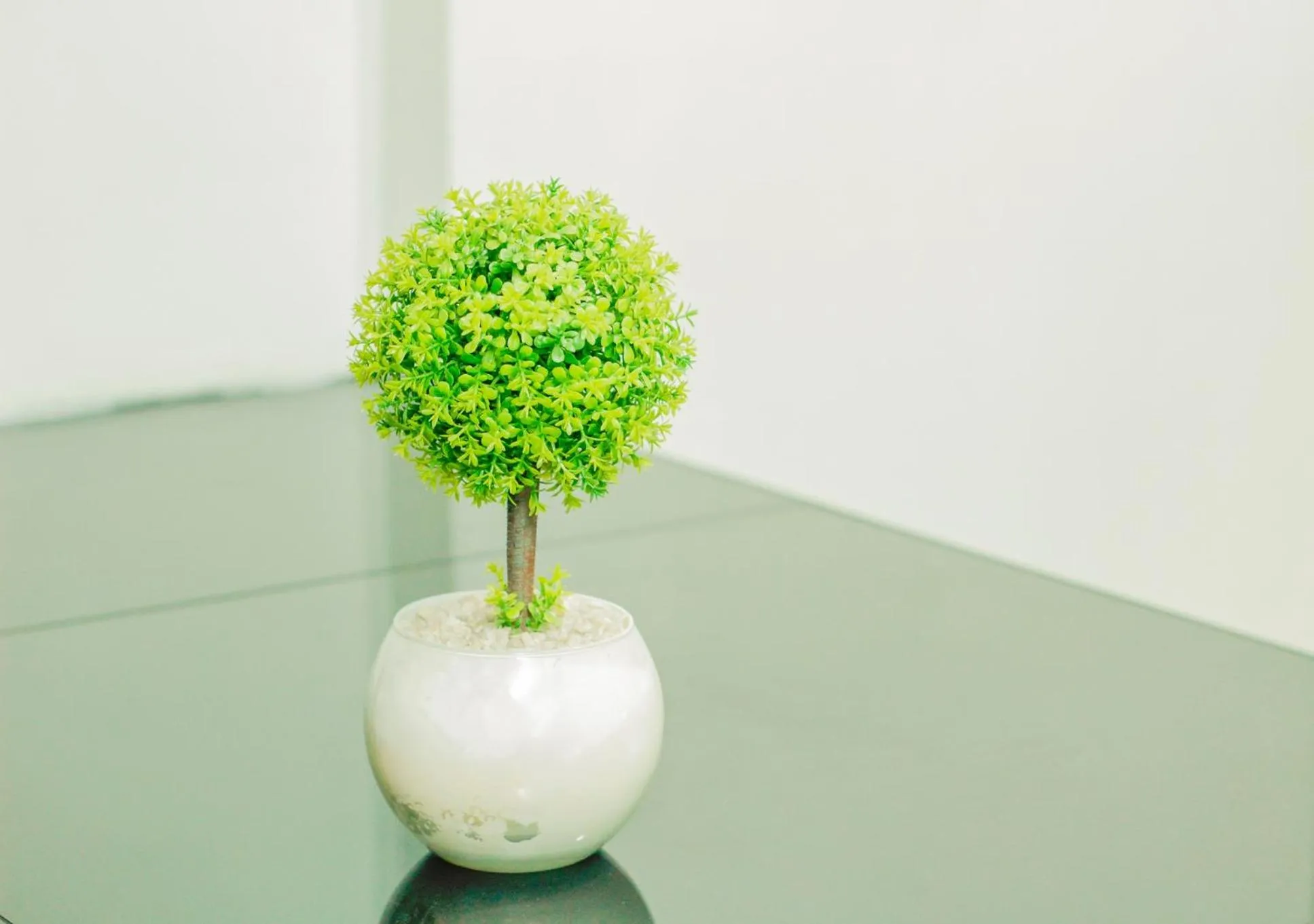 Backpackers Homestay - NomadsMNL