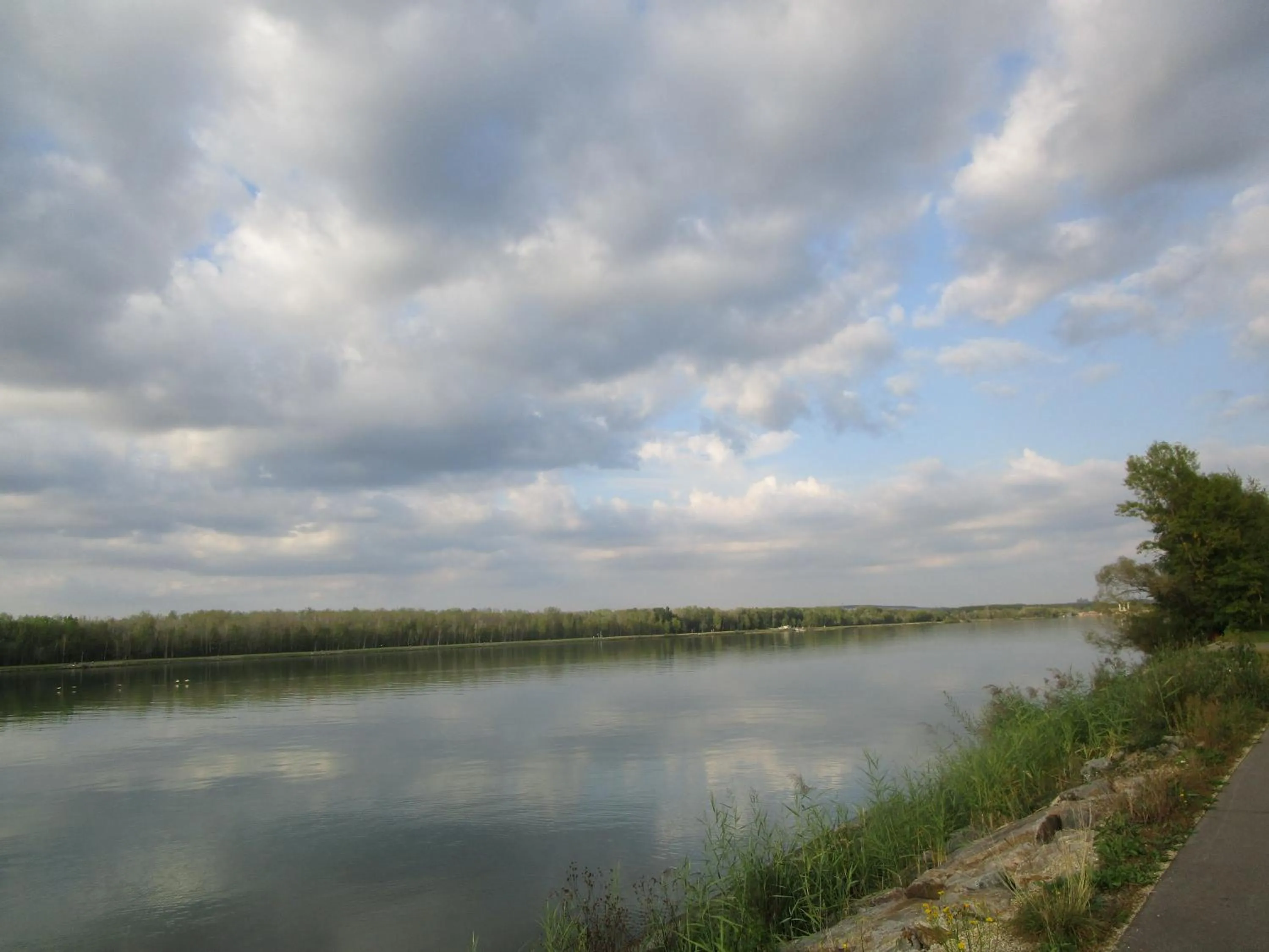 Natural landscape in Gasthaus Schwarzer Adler