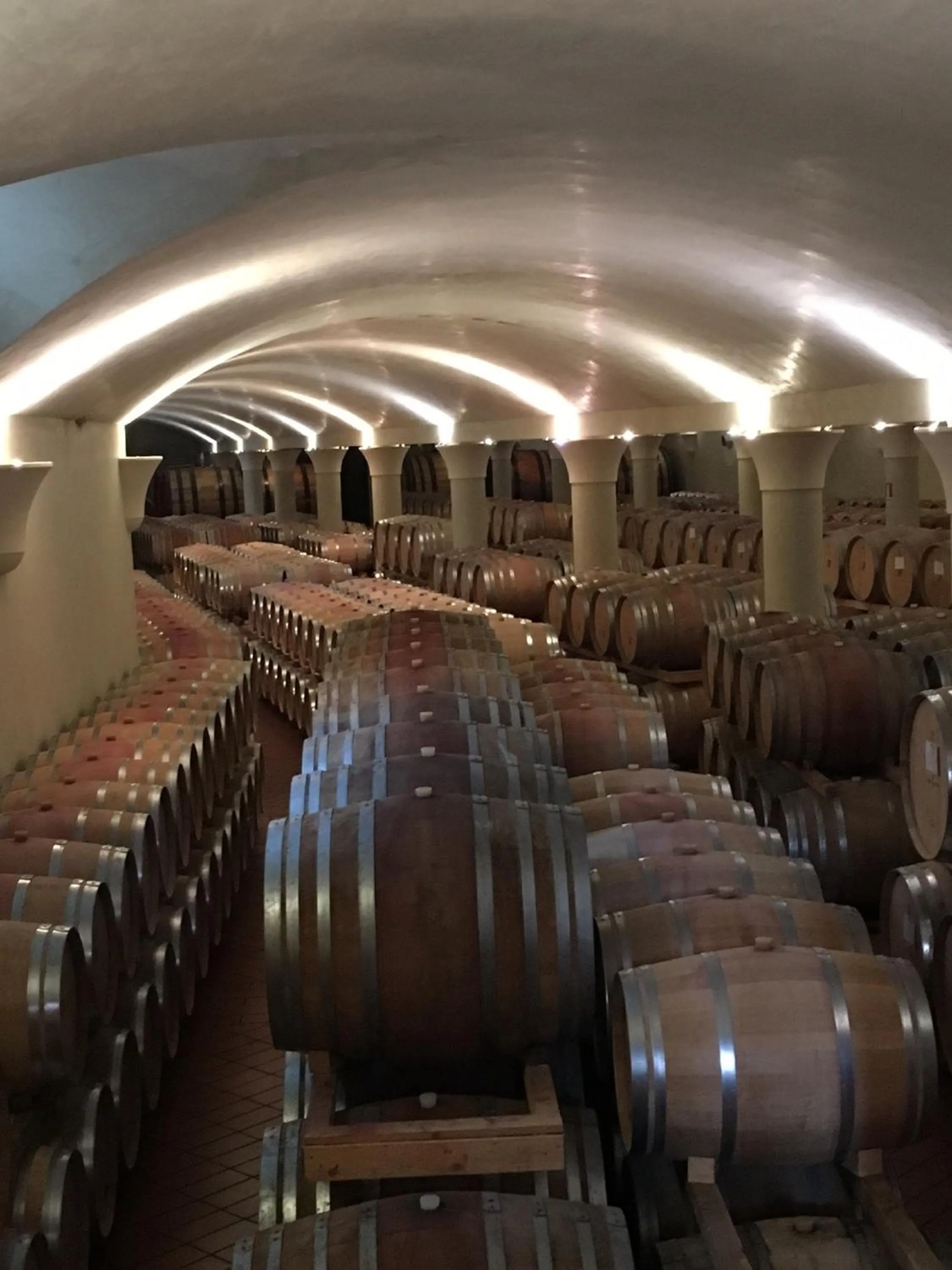 Activities in Borgo Del Cabreo