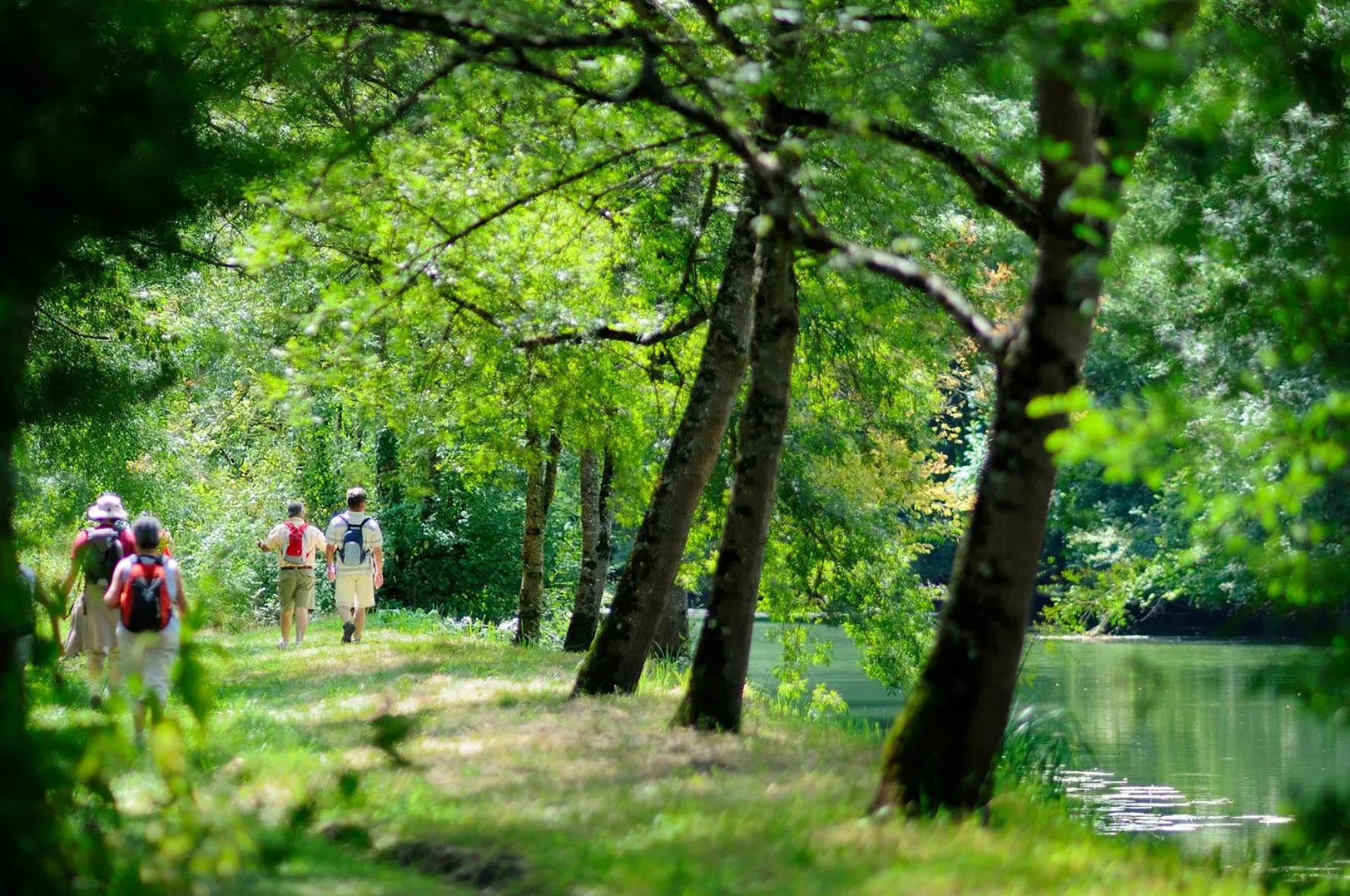 Hiking in Logis Hotel La Croix Blanche Fontevraud
