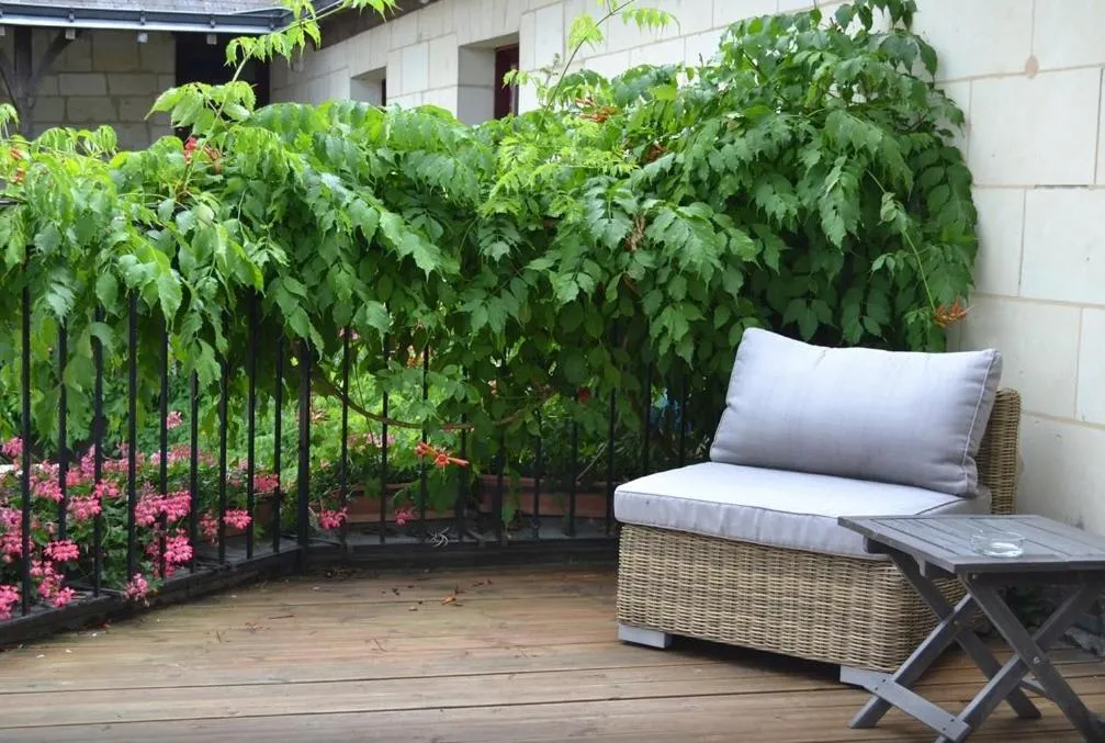 Balcony/Terrace in Logis Hotel La Croix Blanche Fontevraud