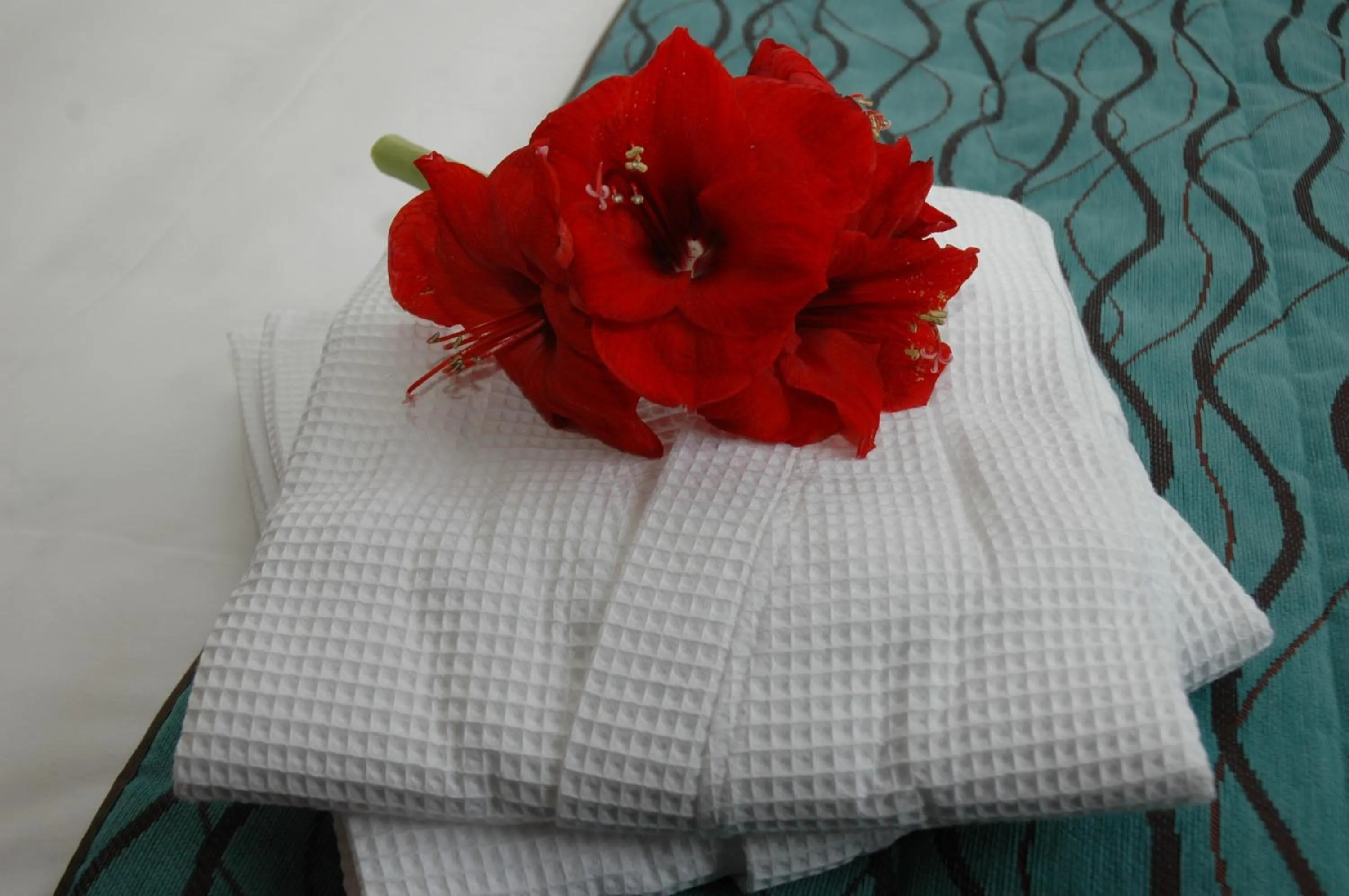 Toilet, Bed in Logis Hotel La Croix Blanche Fontevraud
