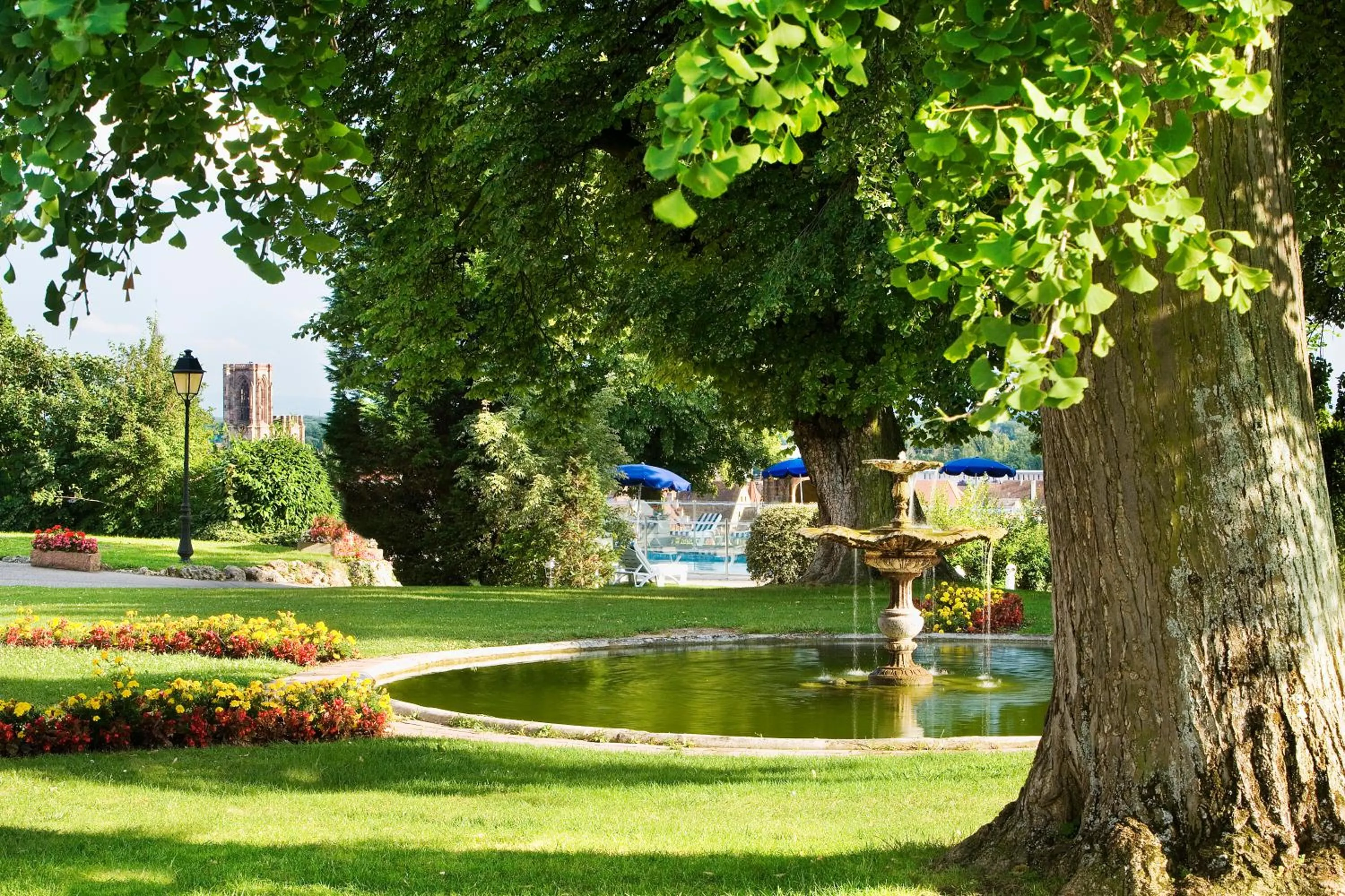 Garden in Château d'Isenbourg & SPA