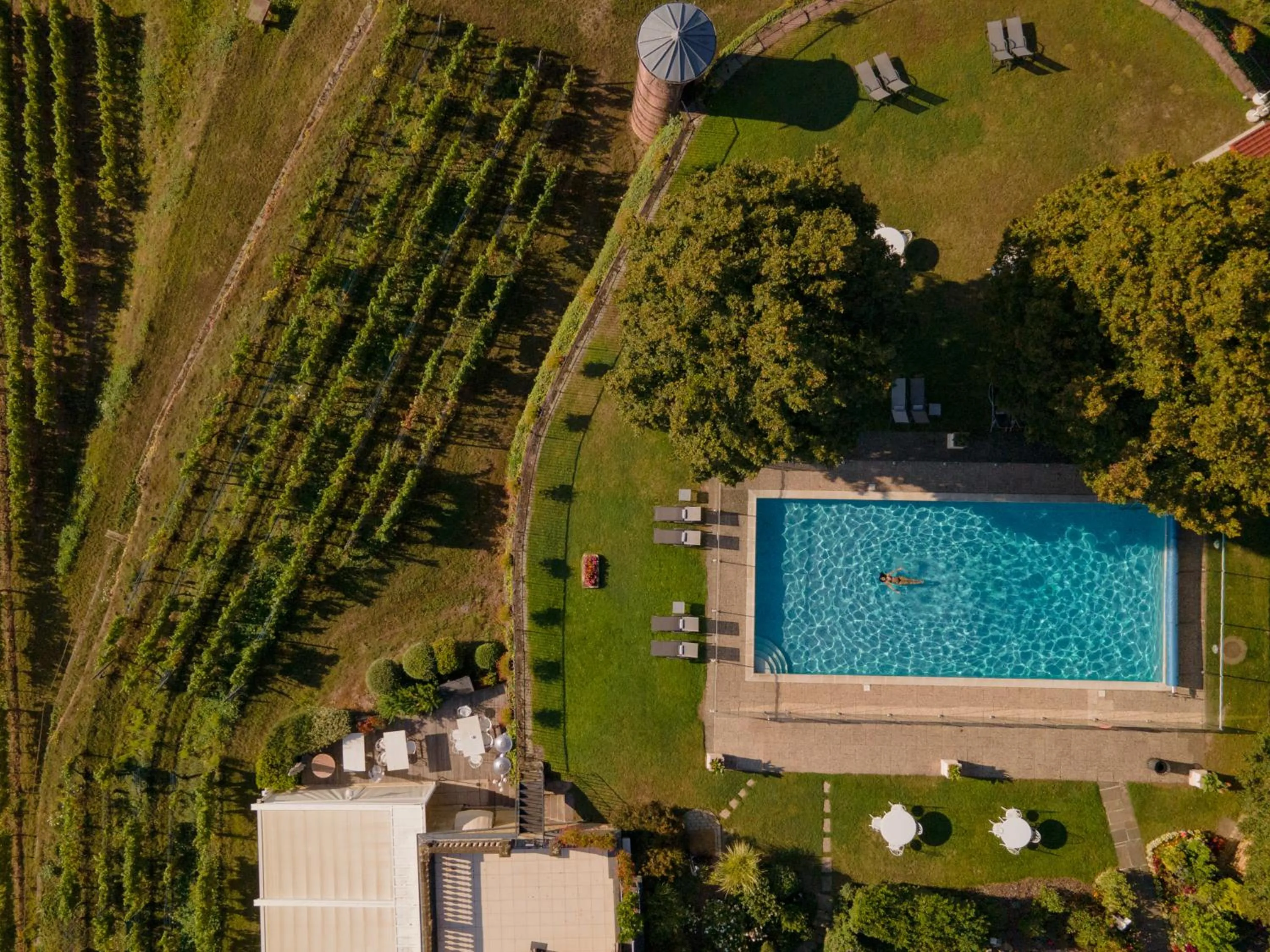 Swimming pool in Château d'Isenbourg & SPA