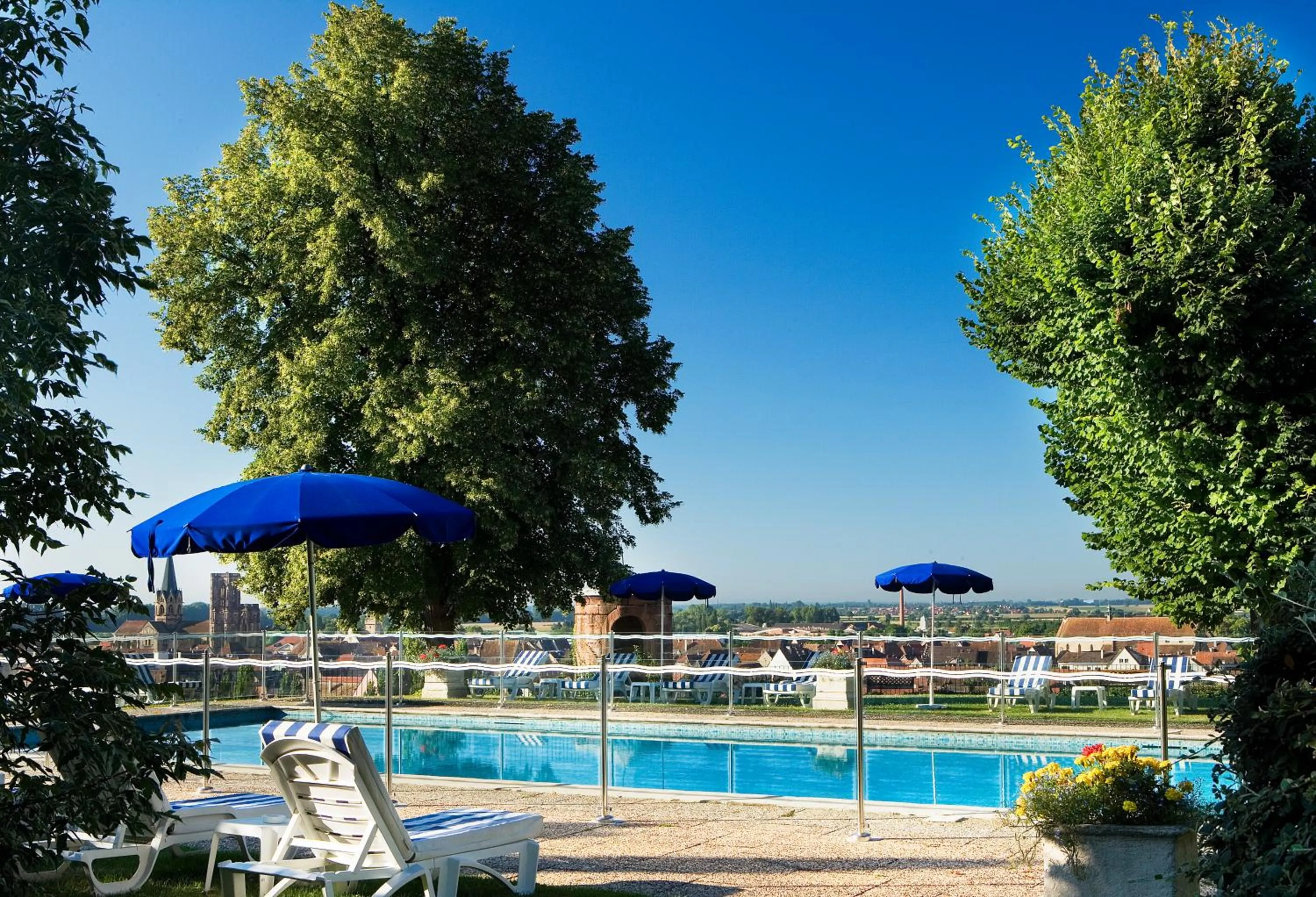 Swimming pool in Château d'Isenbourg & SPA