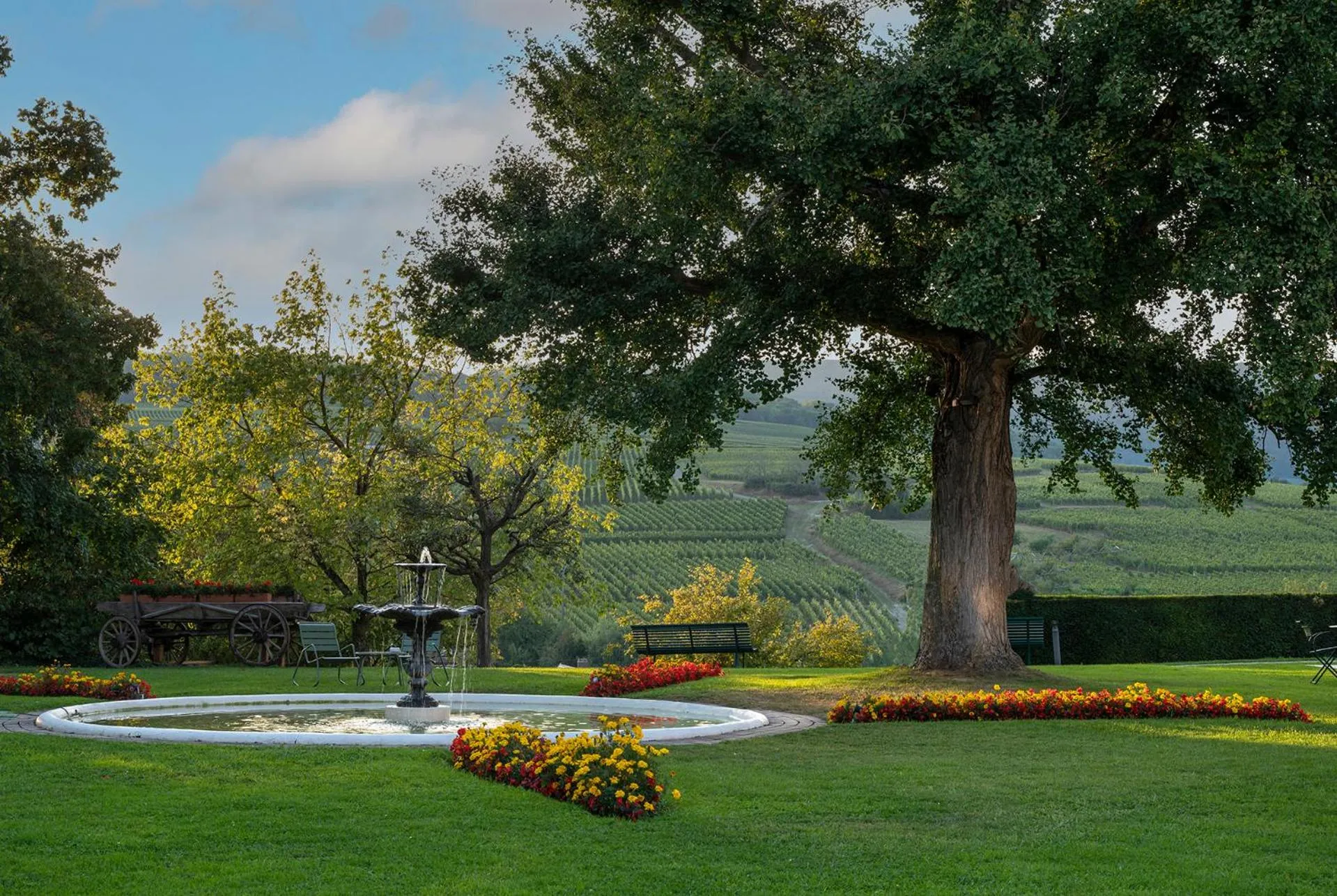 Garden view in Château d'Isenbourg & SPA