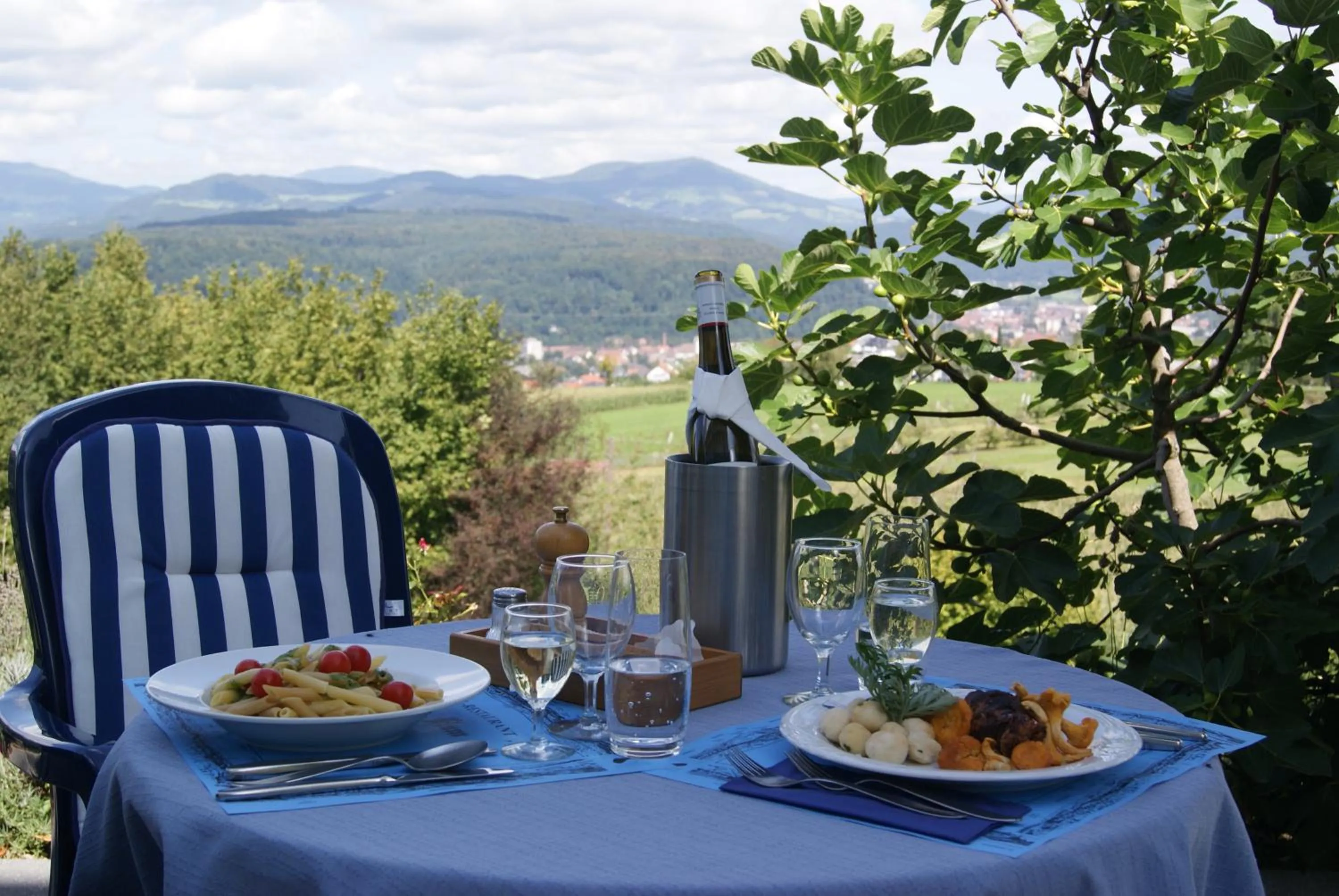 Balcony/Terrace in Hotel Hohe Flum