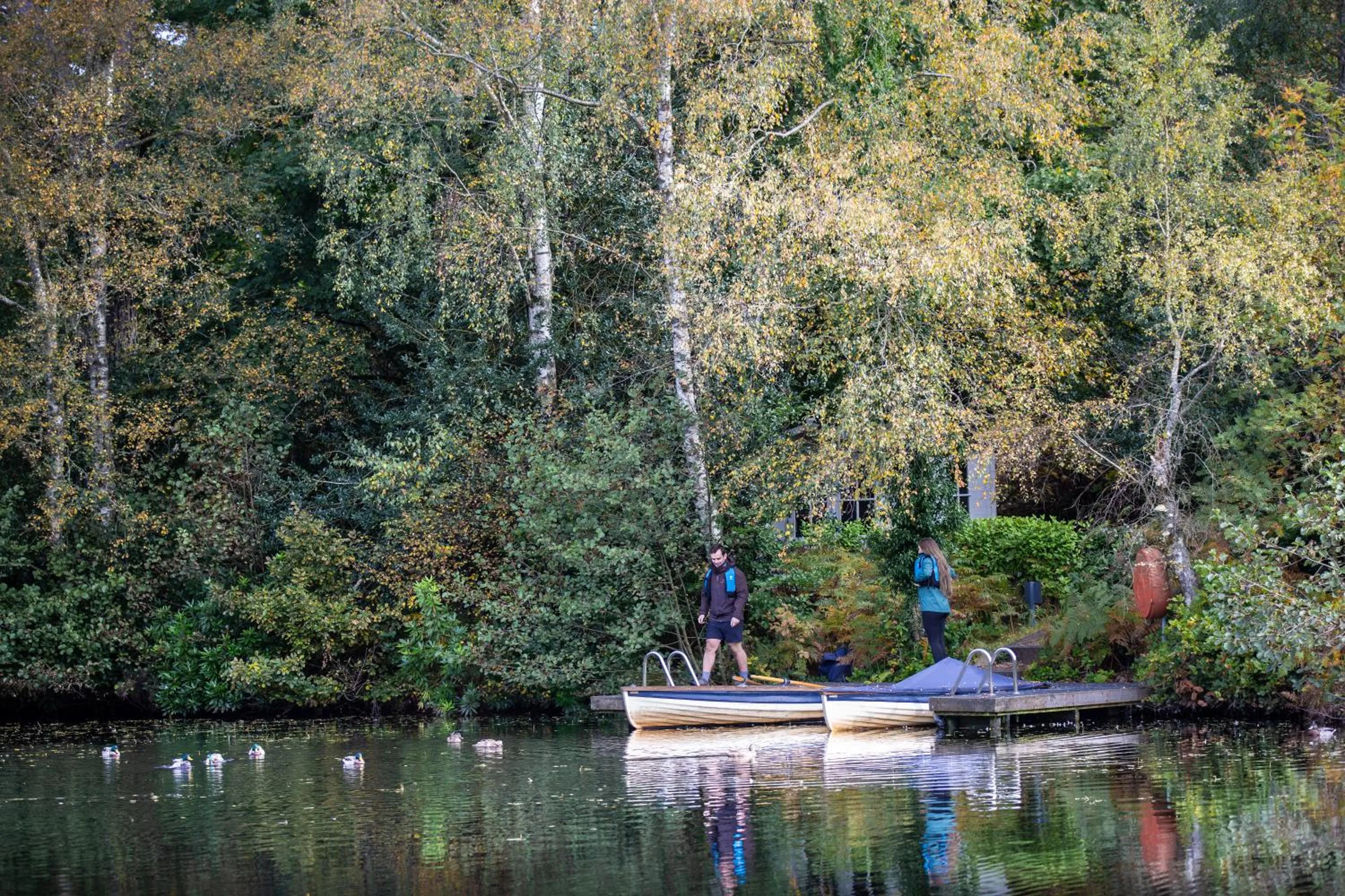 Natural landscape in Linthwaite House Hotel