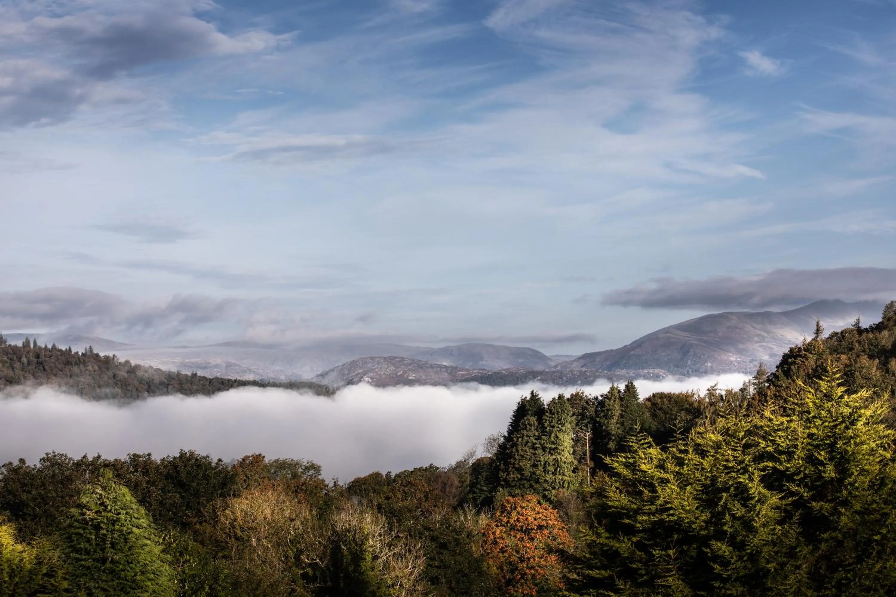 View (from property/room) in Linthwaite House Hotel