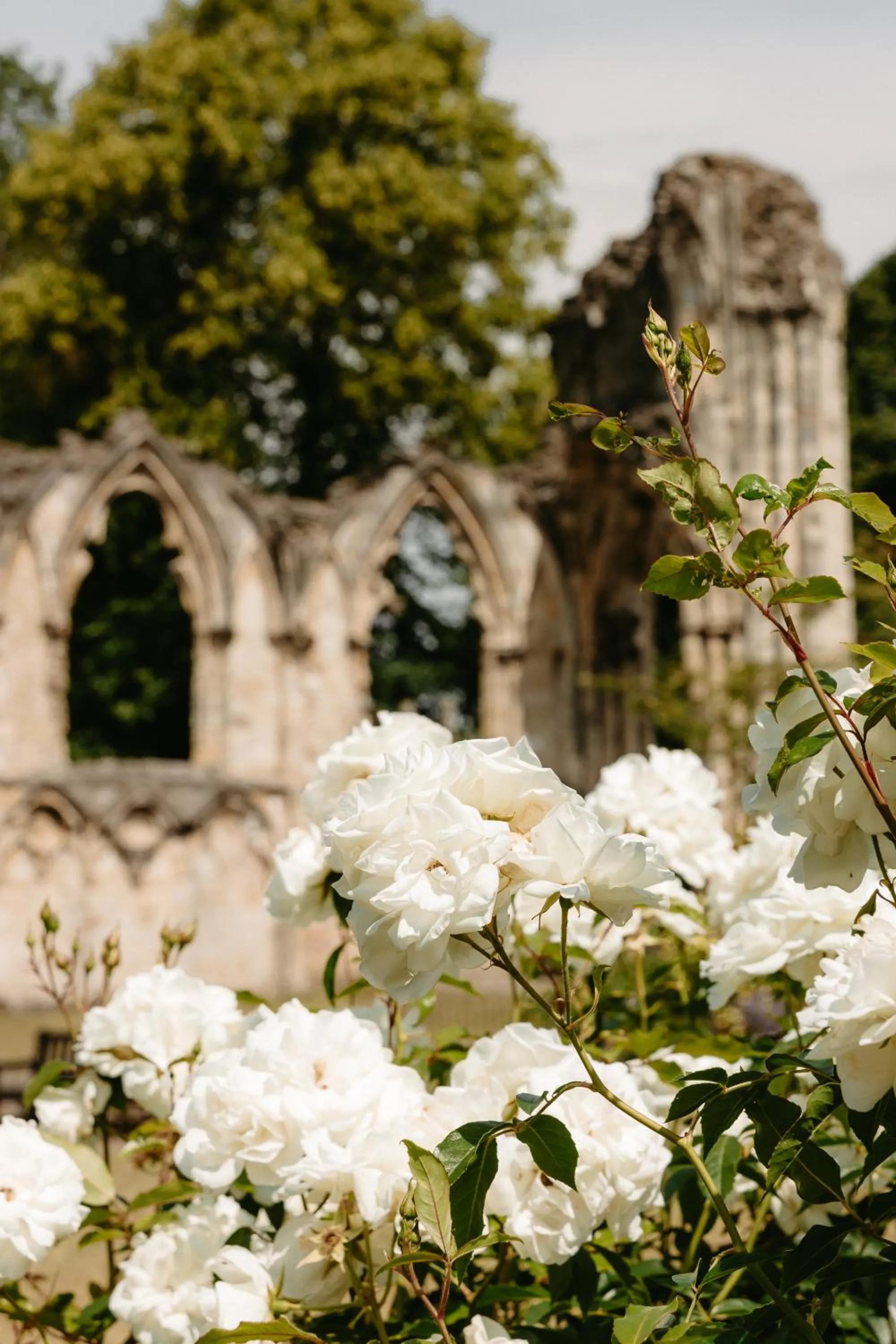 Area and facilities in No 1 by GuestHouse, York