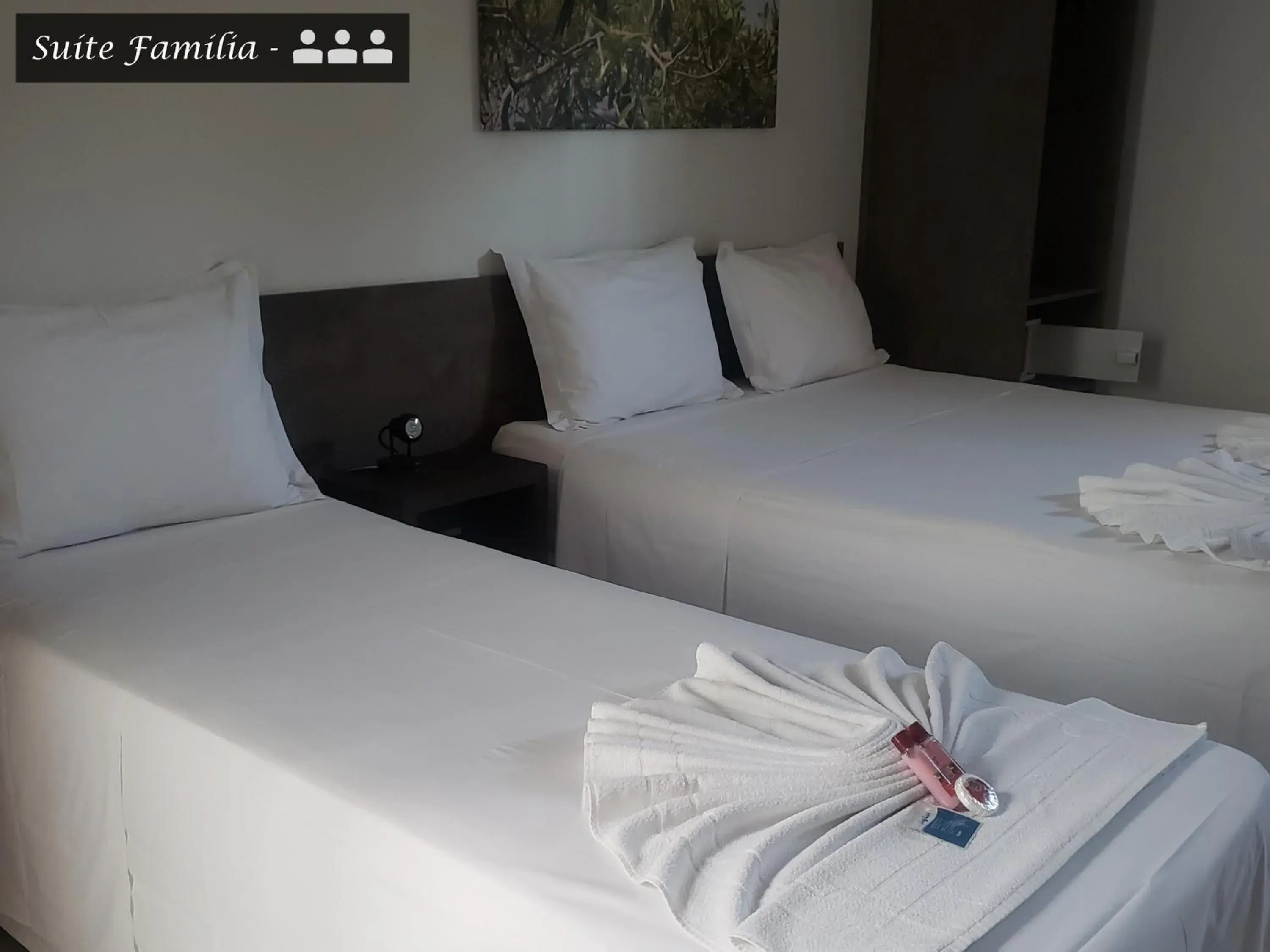 Family Suite in Pousada Tartarugas de Paúba Family Suite in Pousada Tartarugas de Paúba