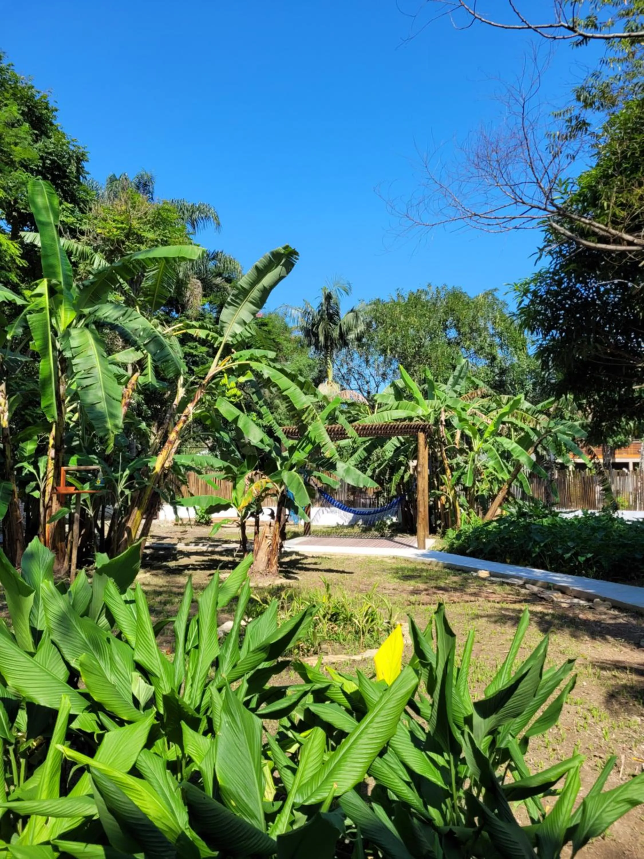 Pousada Tartarugas de Paúba
