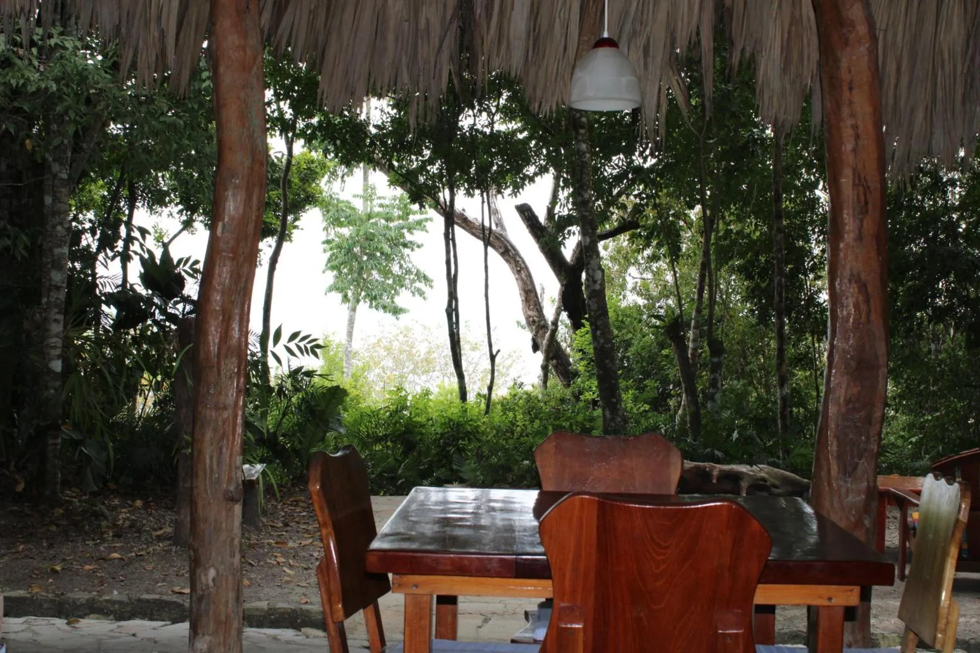 Restaurant/places to eat in Posada del Cerro