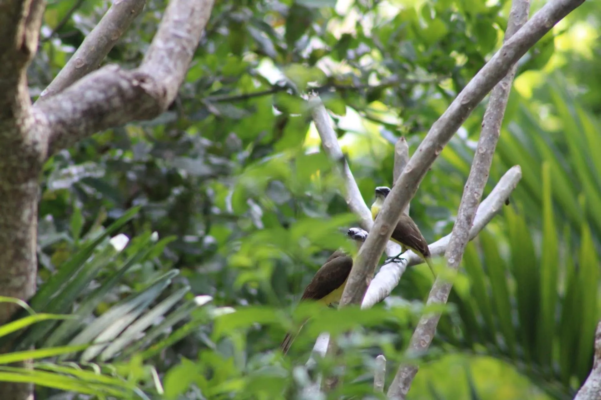 Natural landscape in Posada del Cerro