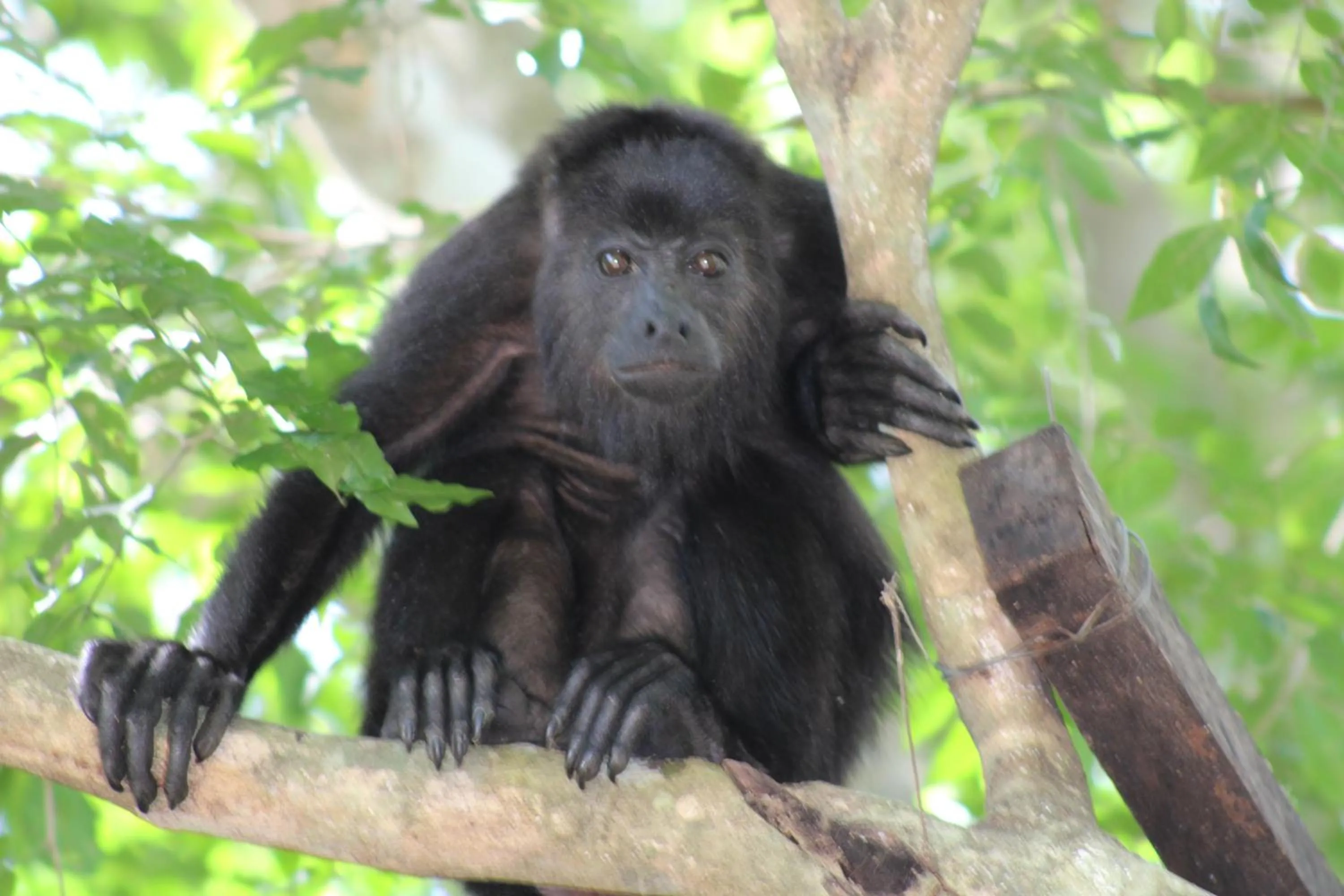 Natural landscape in Posada del Cerro