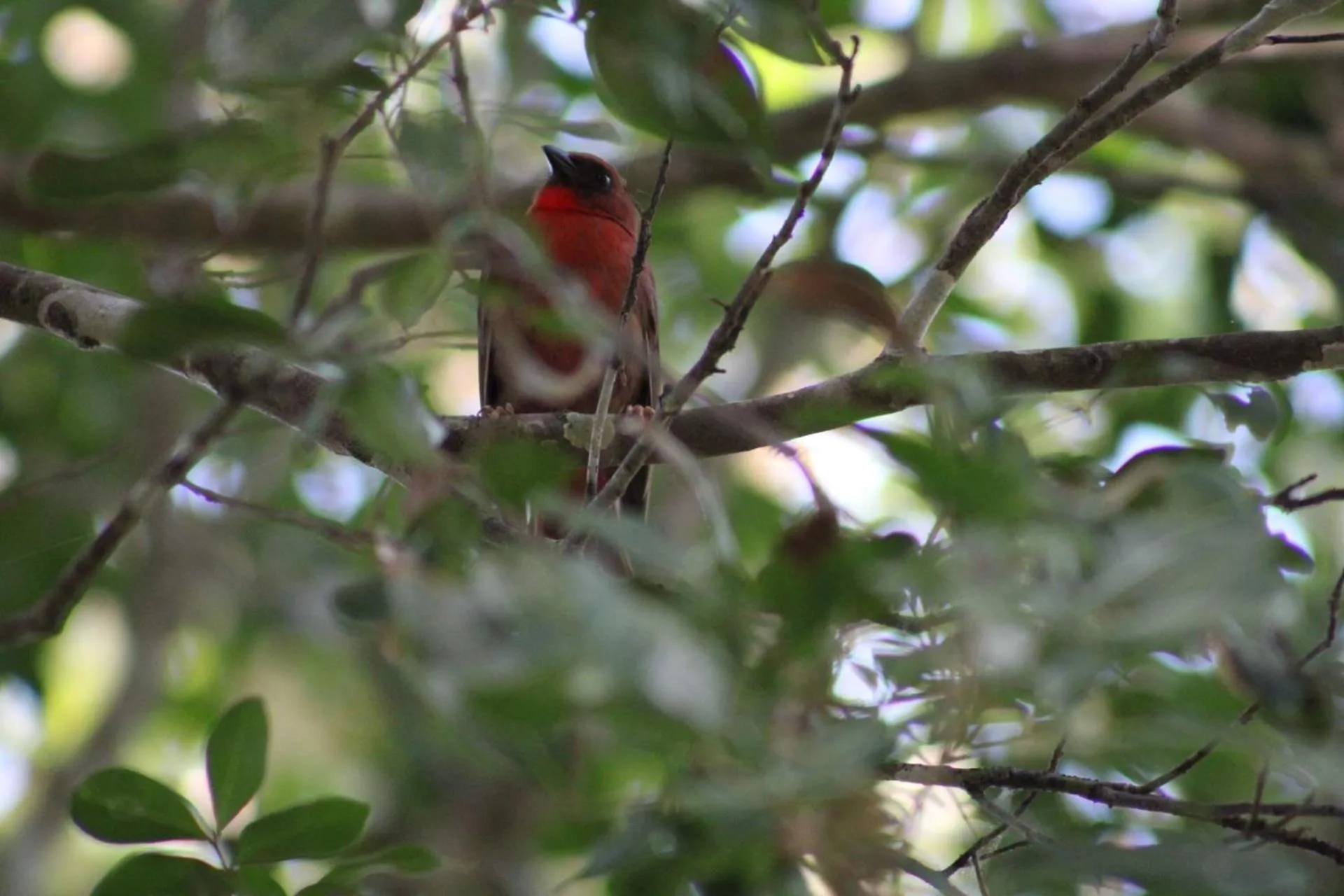 Garden in Posada del Cerro