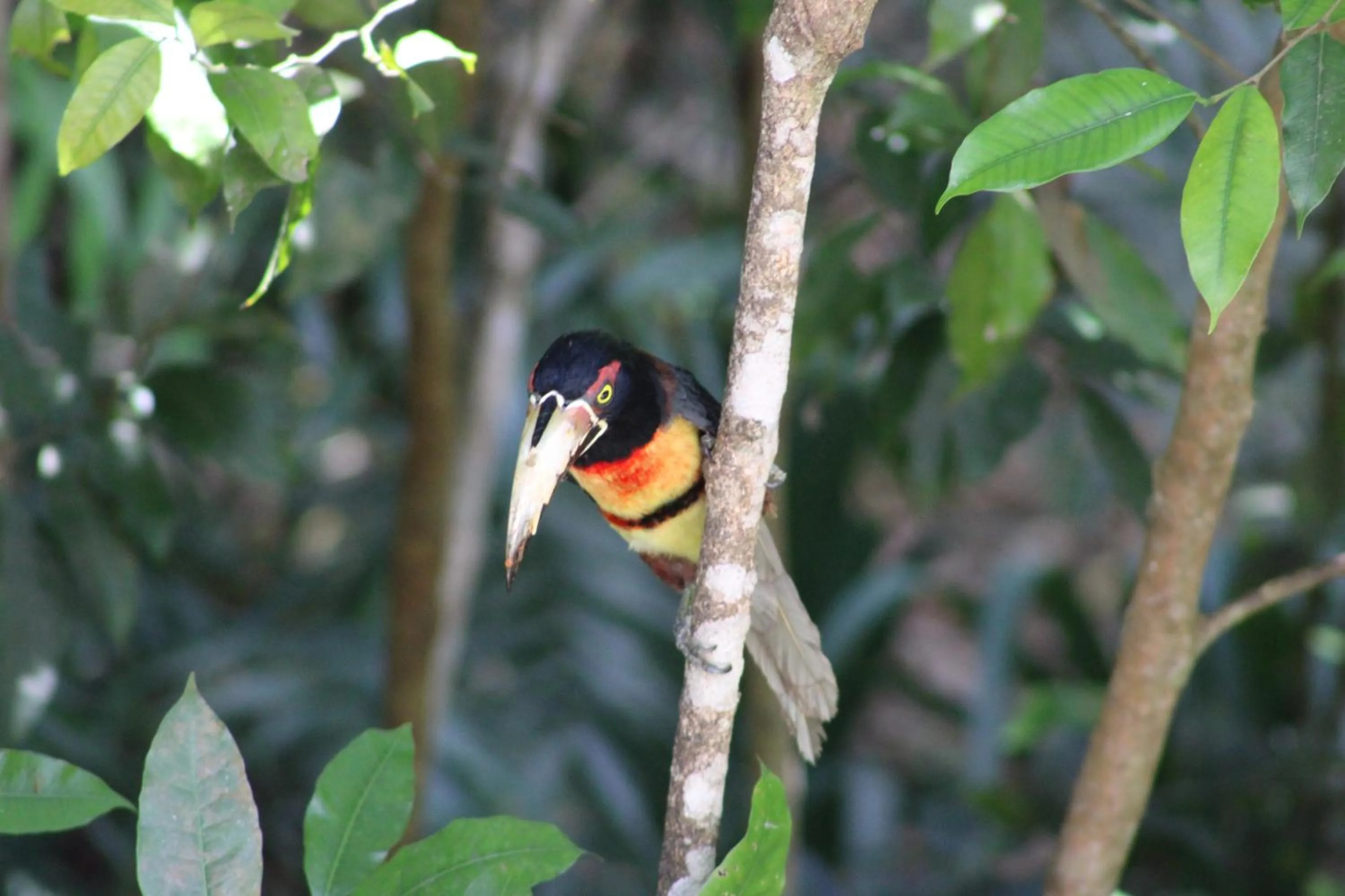 Natural landscape in Posada del Cerro