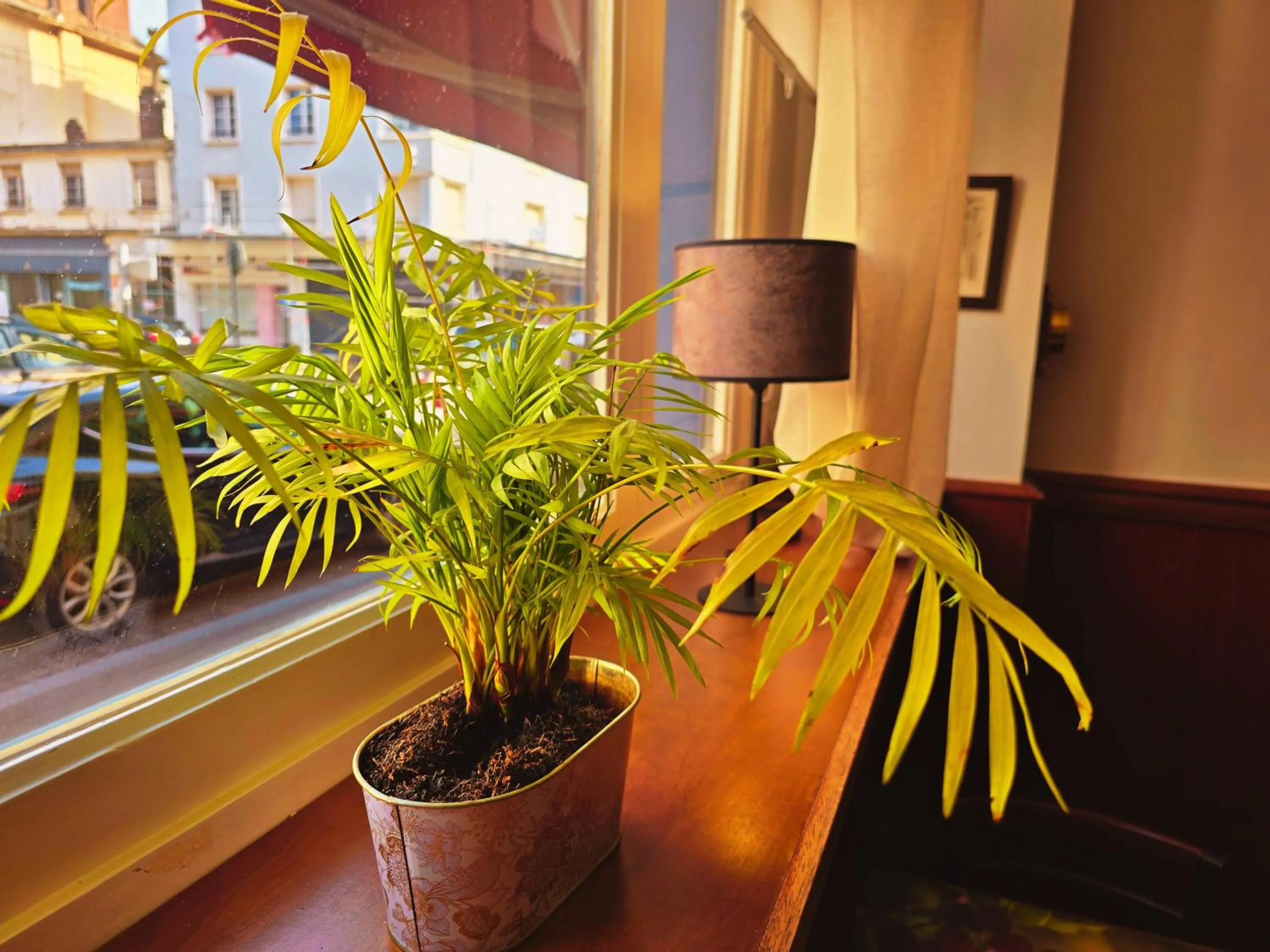 Lobby or reception in Hôtel Alexandra Centre Ville