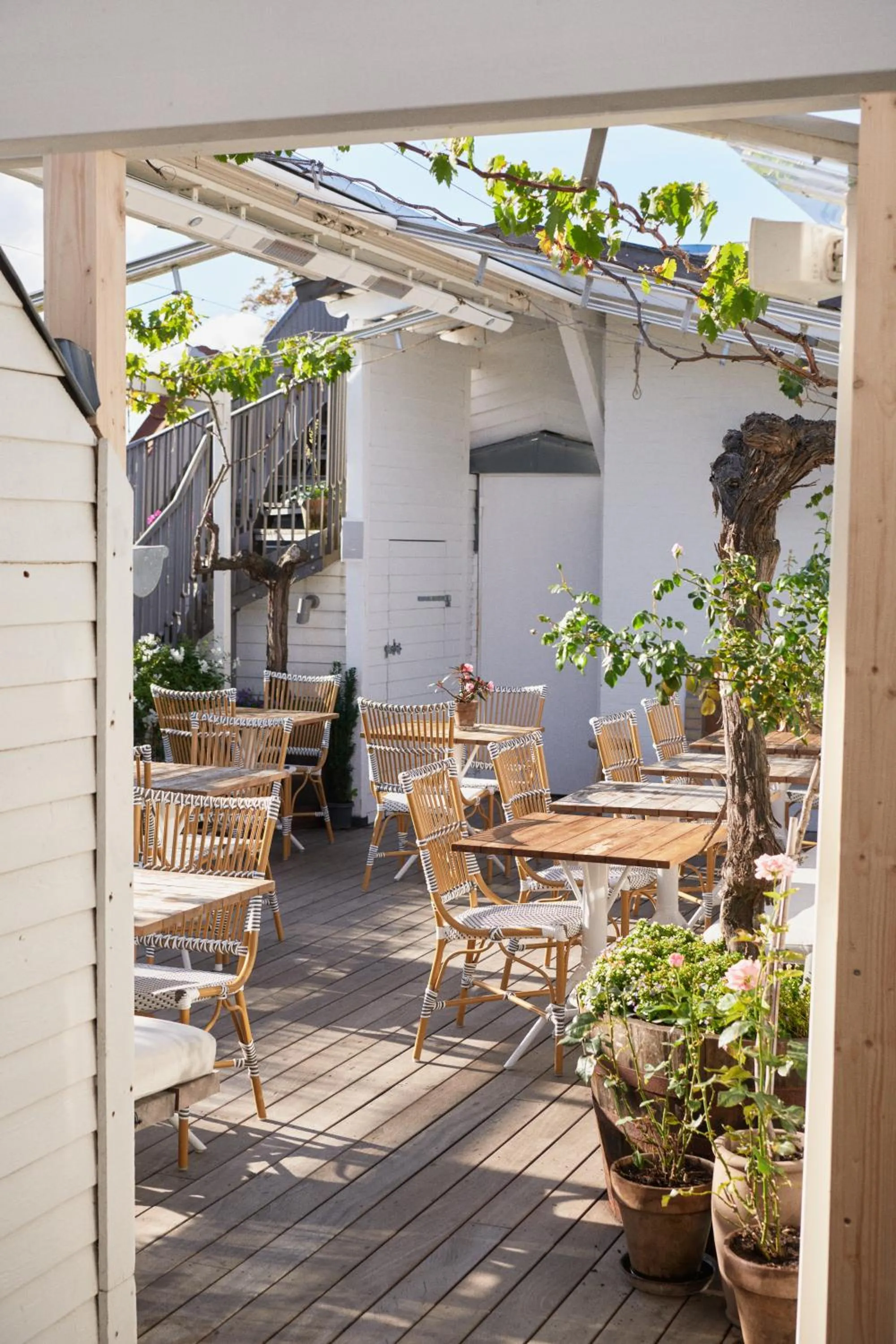 Balcony/Terrace in Hotel Skt. Annæ