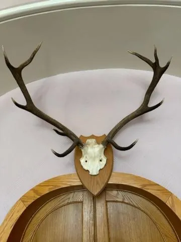 Lounge or bar in The Acarsaid - Pitlochry