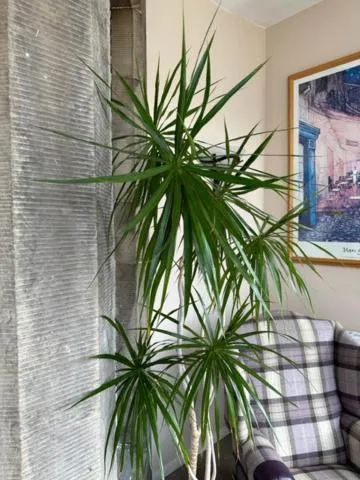 Lounge or bar in The Acarsaid - Pitlochry