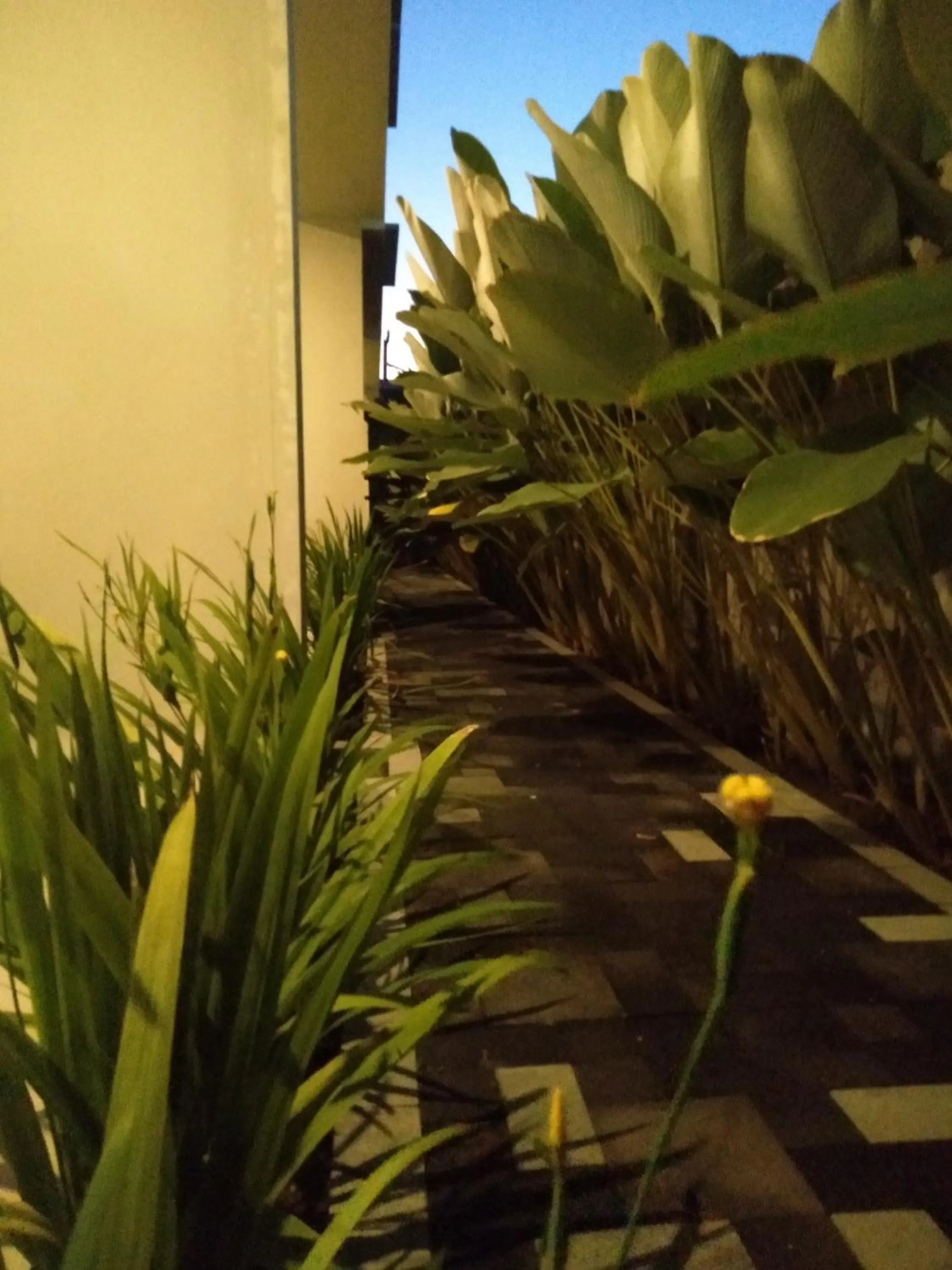 Balcony/Terrace in Hastina Hotel Lombok